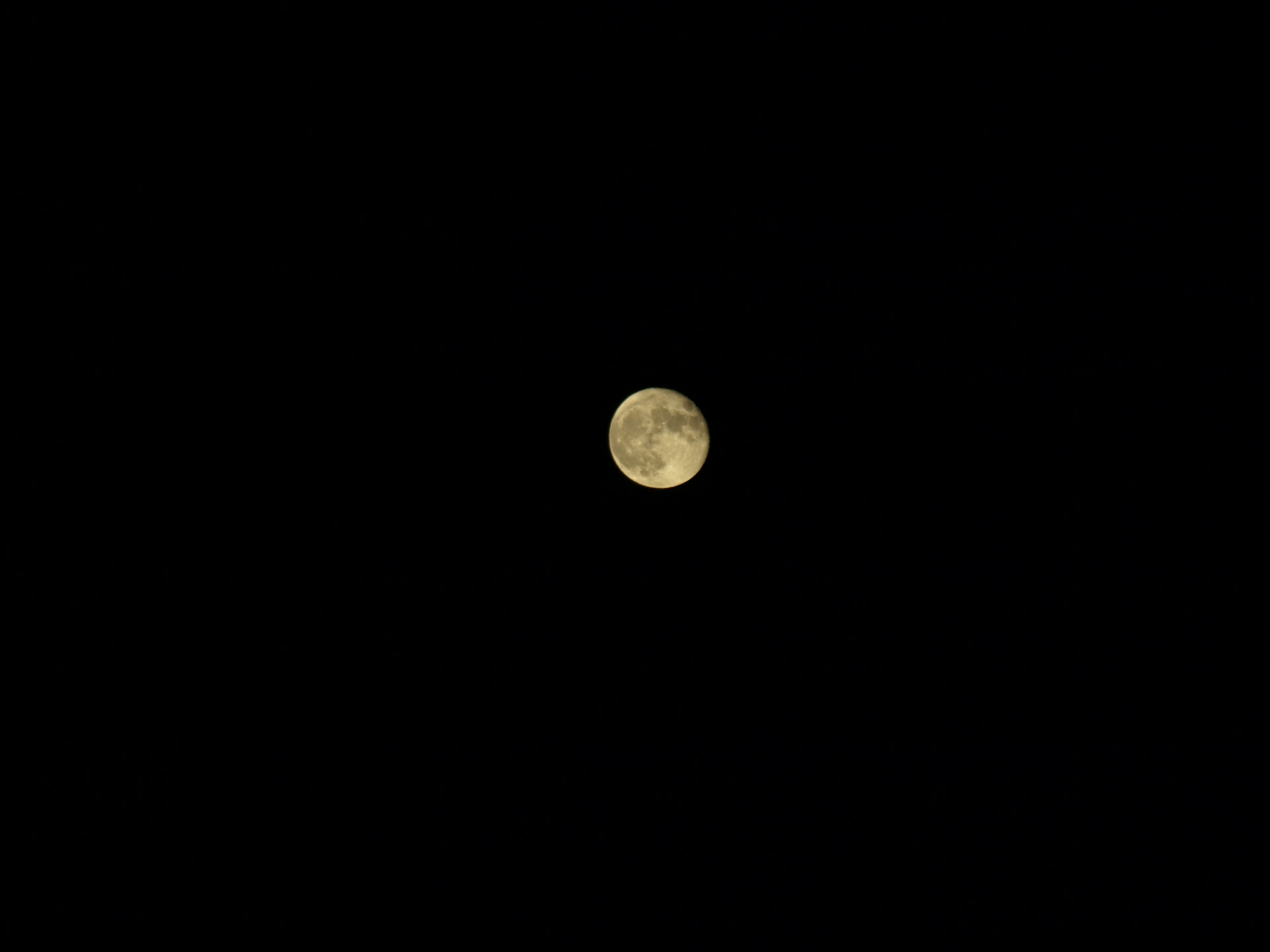 Bright moon floating in the night sky