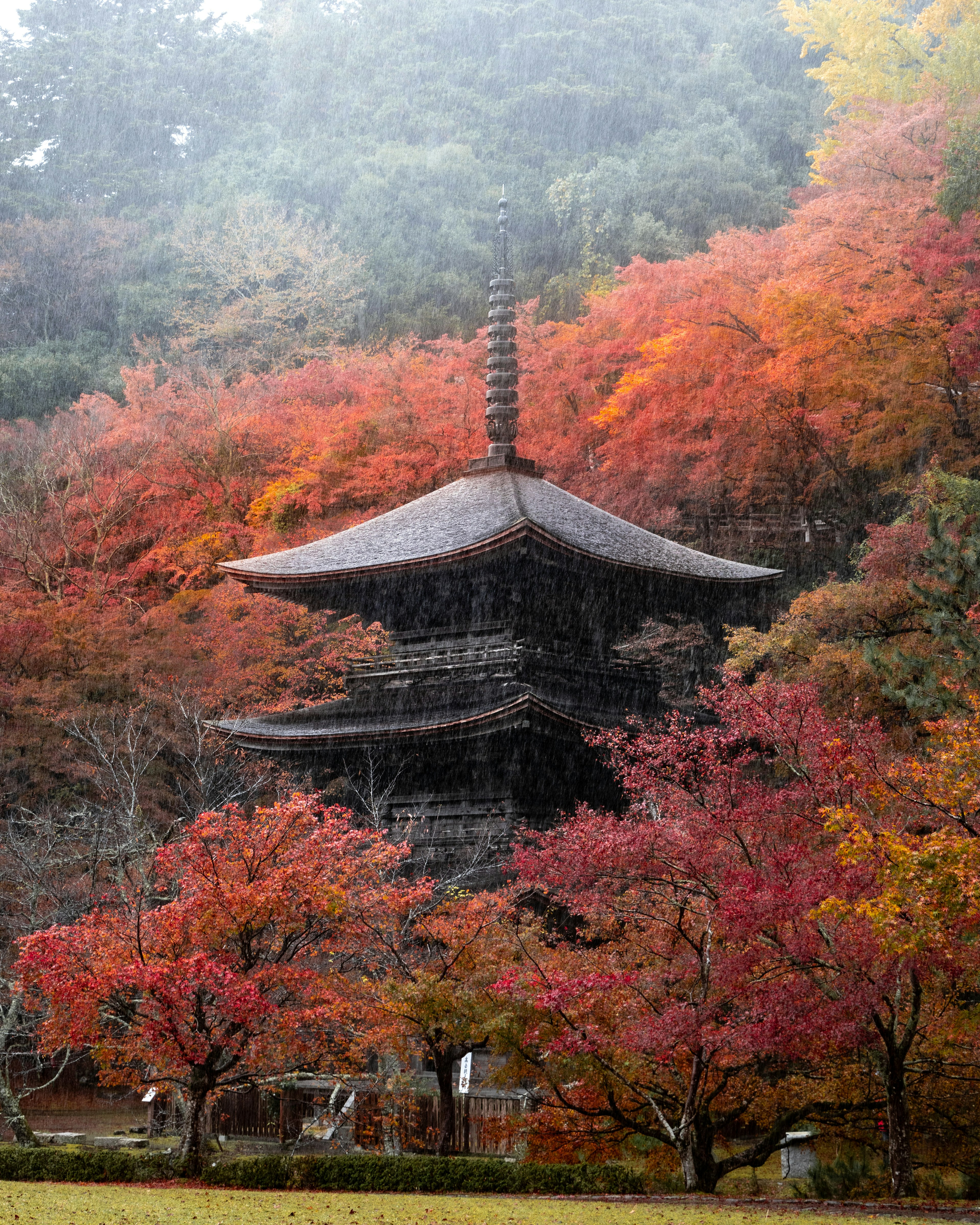 紅葉に囲まれた伝統的な日本の寺院の塔