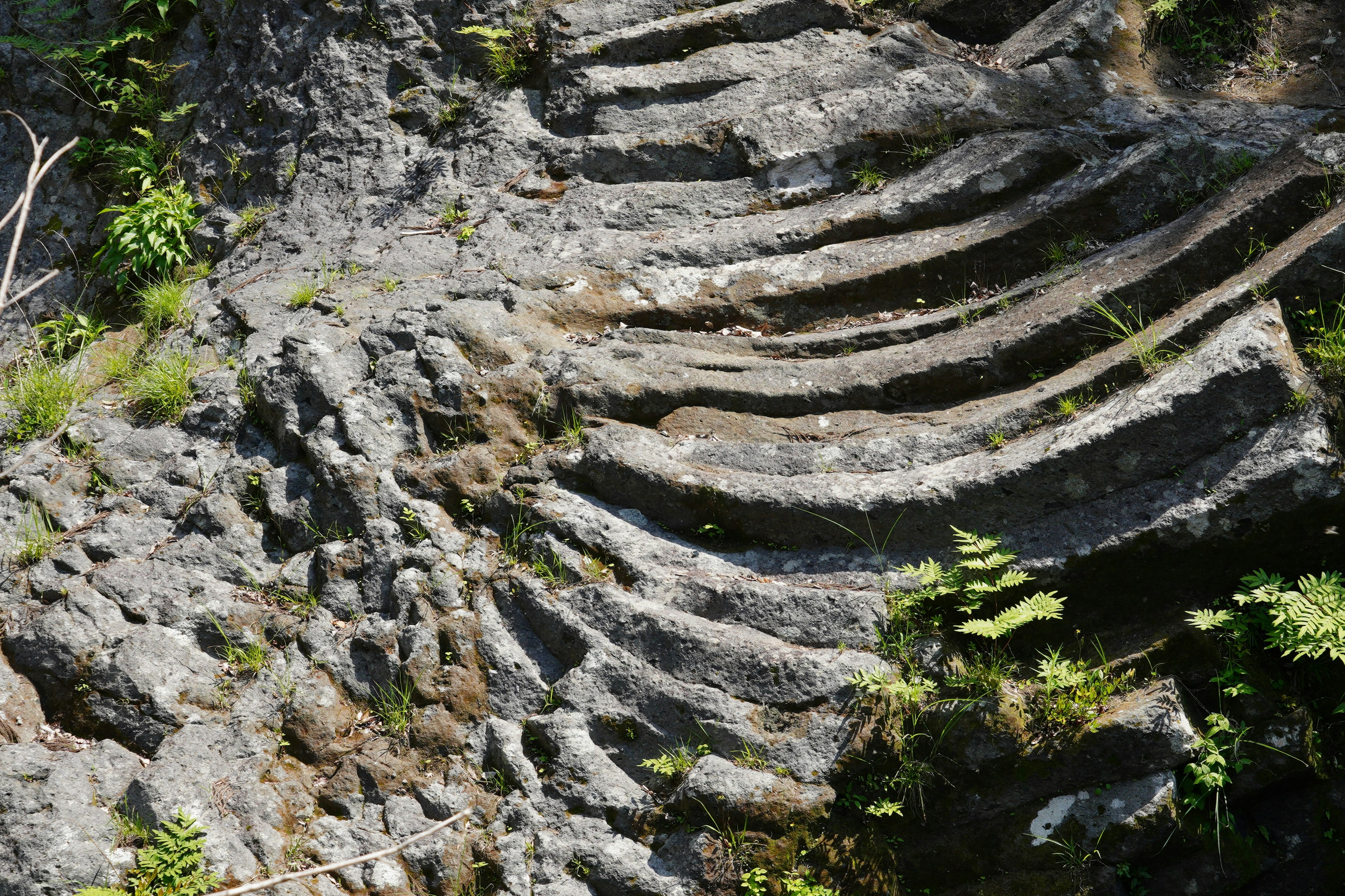 Wellenförmige Gesteinsschichten mit grüner Vegetation