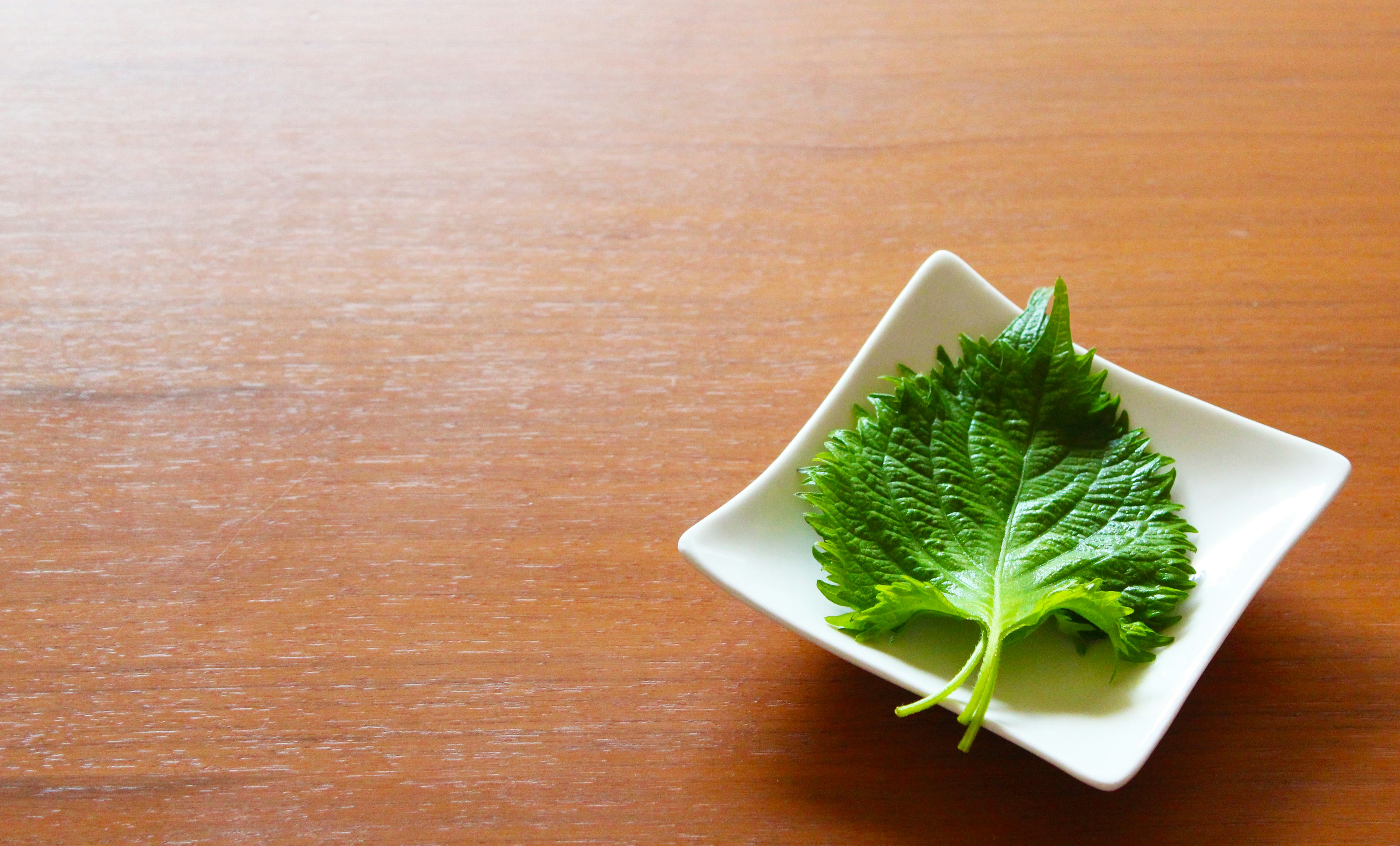 Fresh shiso leaf placed on a white dish on a wooden table