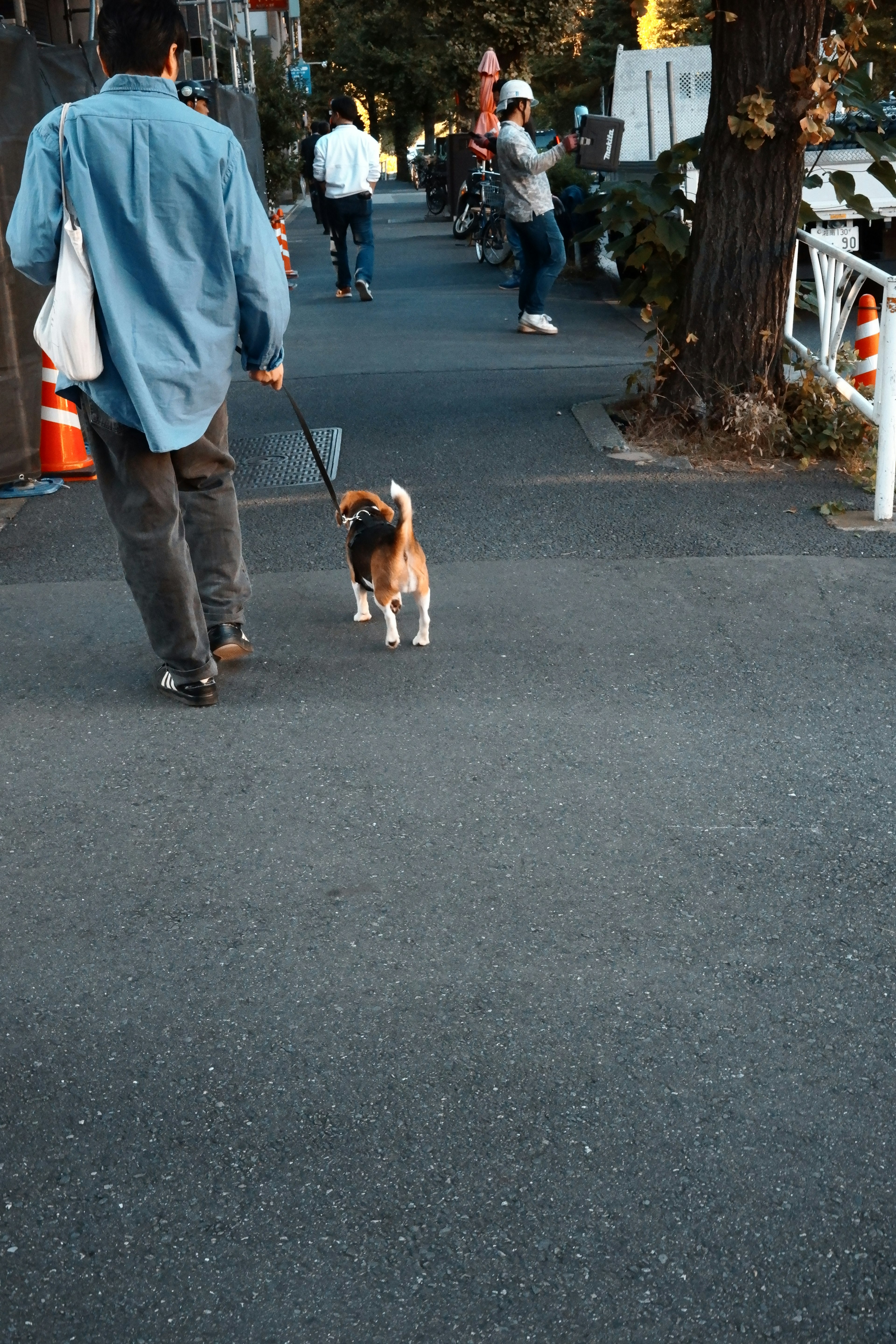 A person walking a dog on a city sidewalk with pedestrians