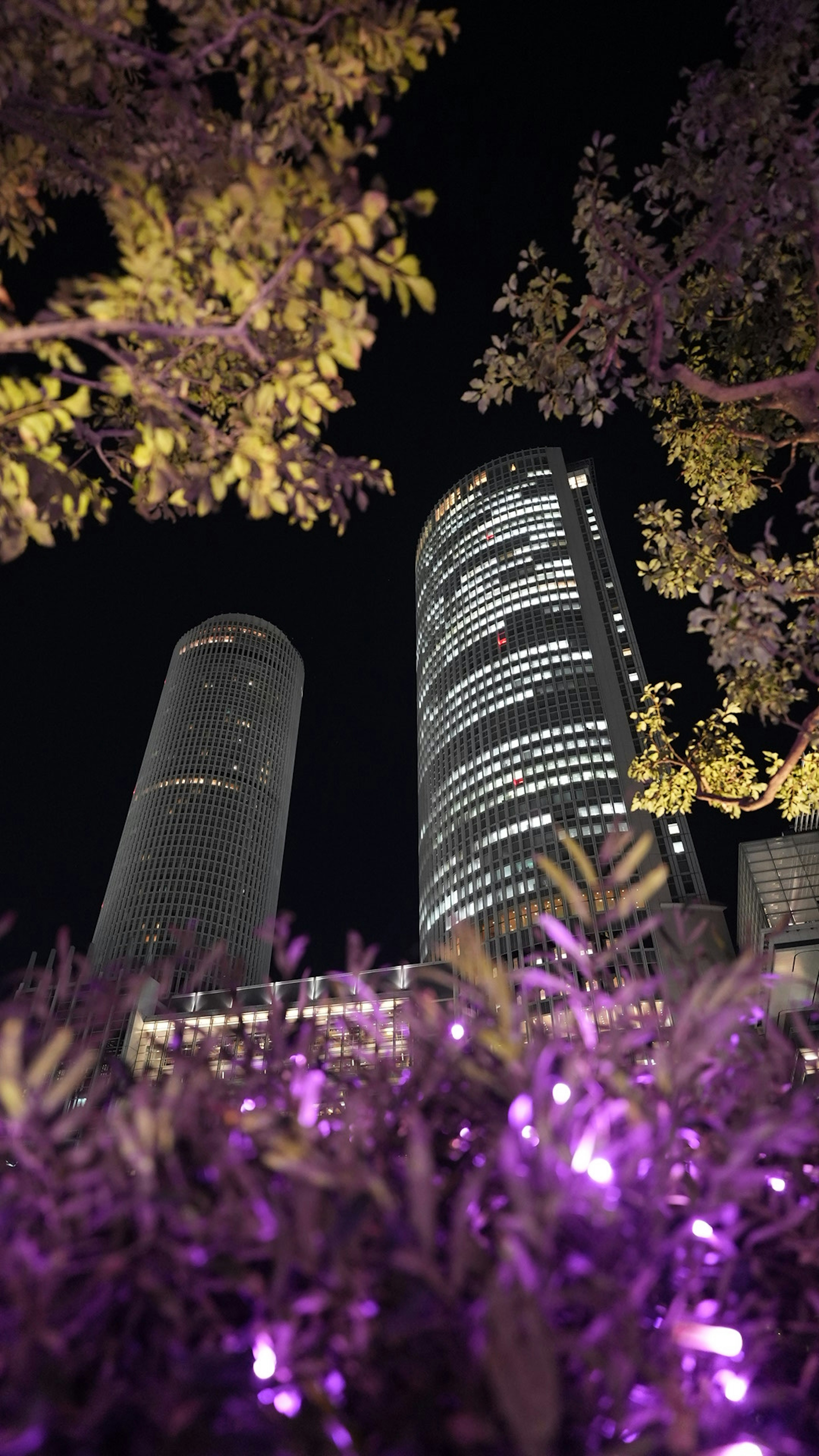 夜の都市の高層ビルと紫色の植物