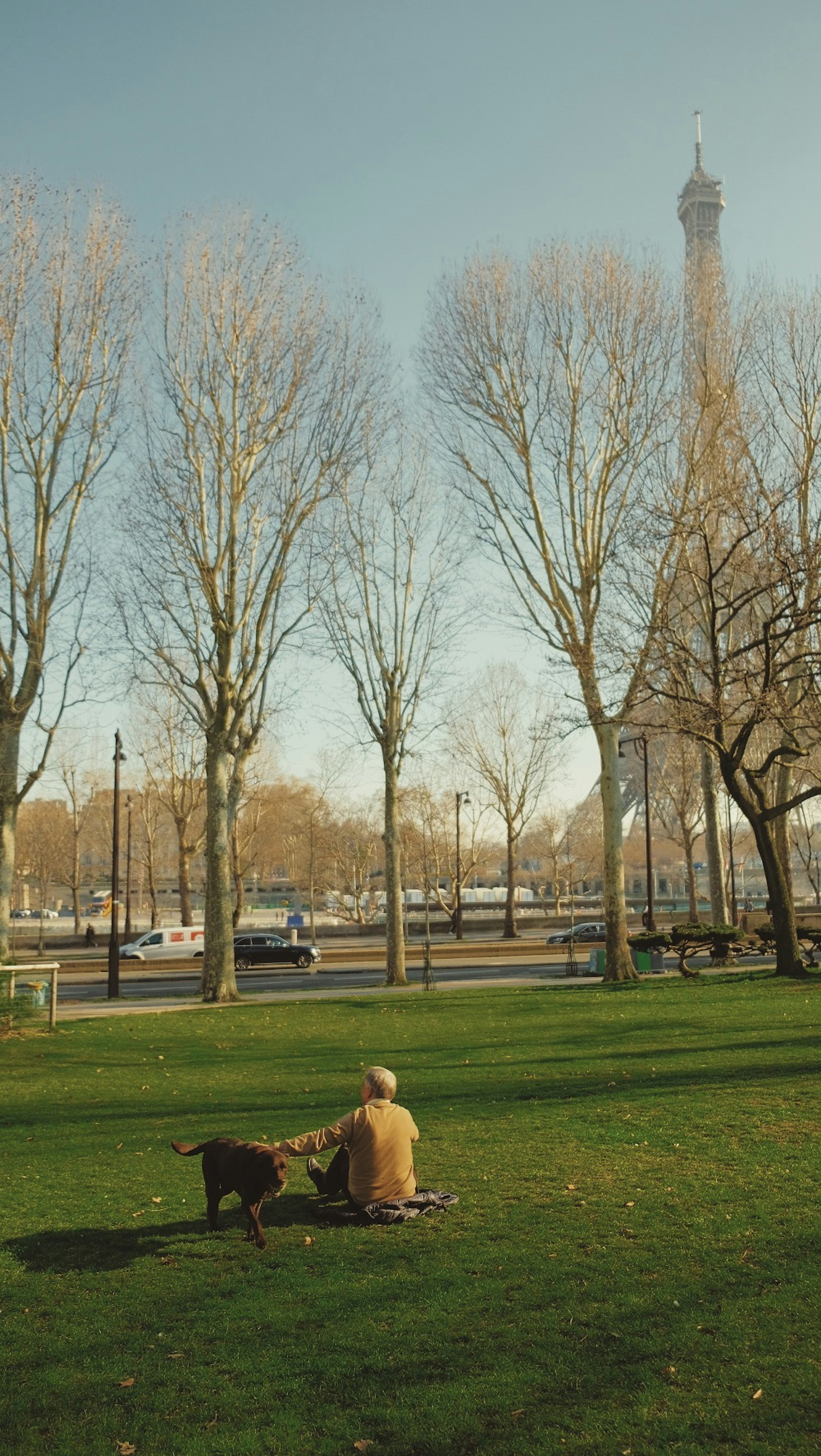 Personne assise sur l'herbe avec un chien près de la tour Eiffel