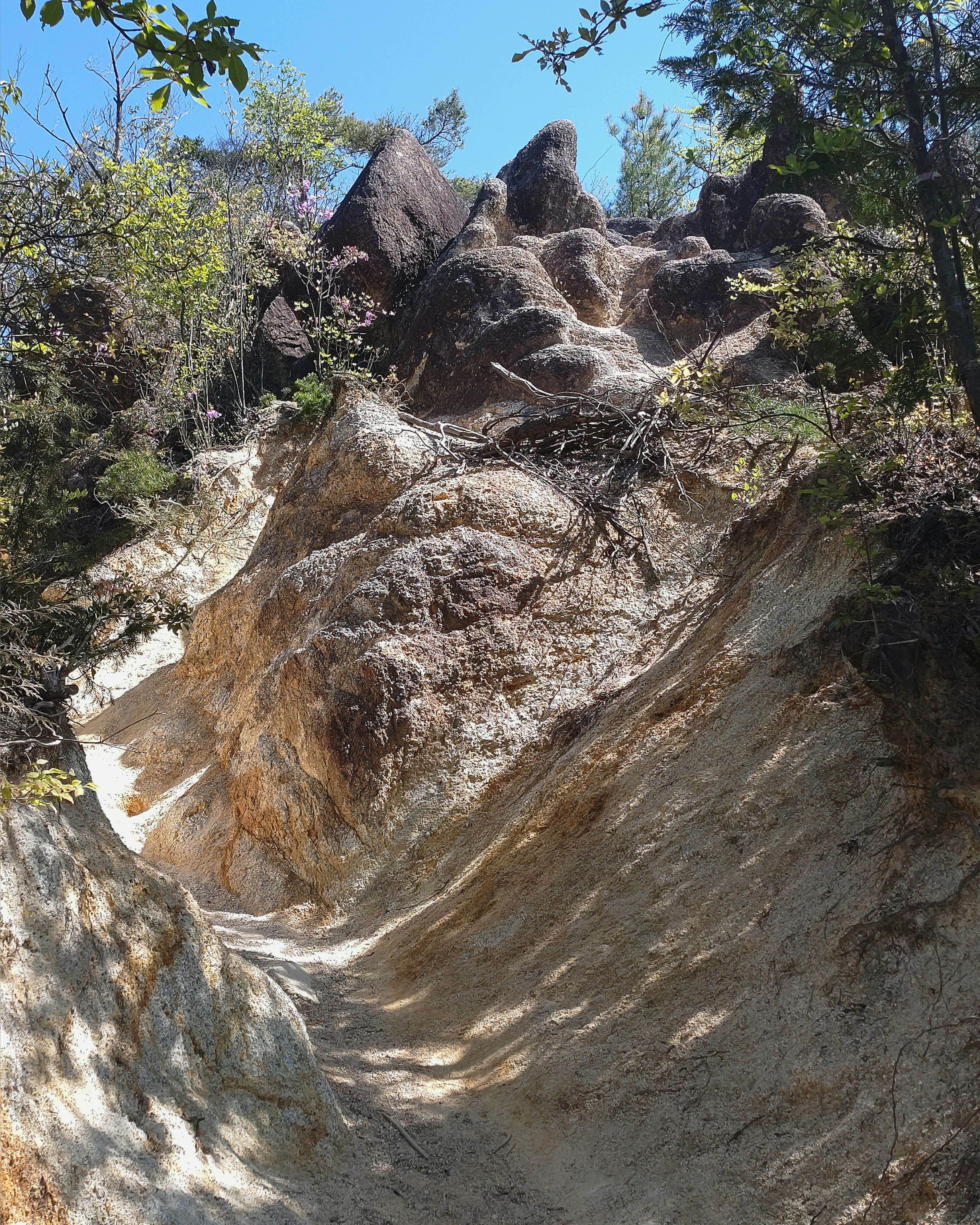 Paesaggio naturale con un sentiero impervio e formazioni rocciose uniche