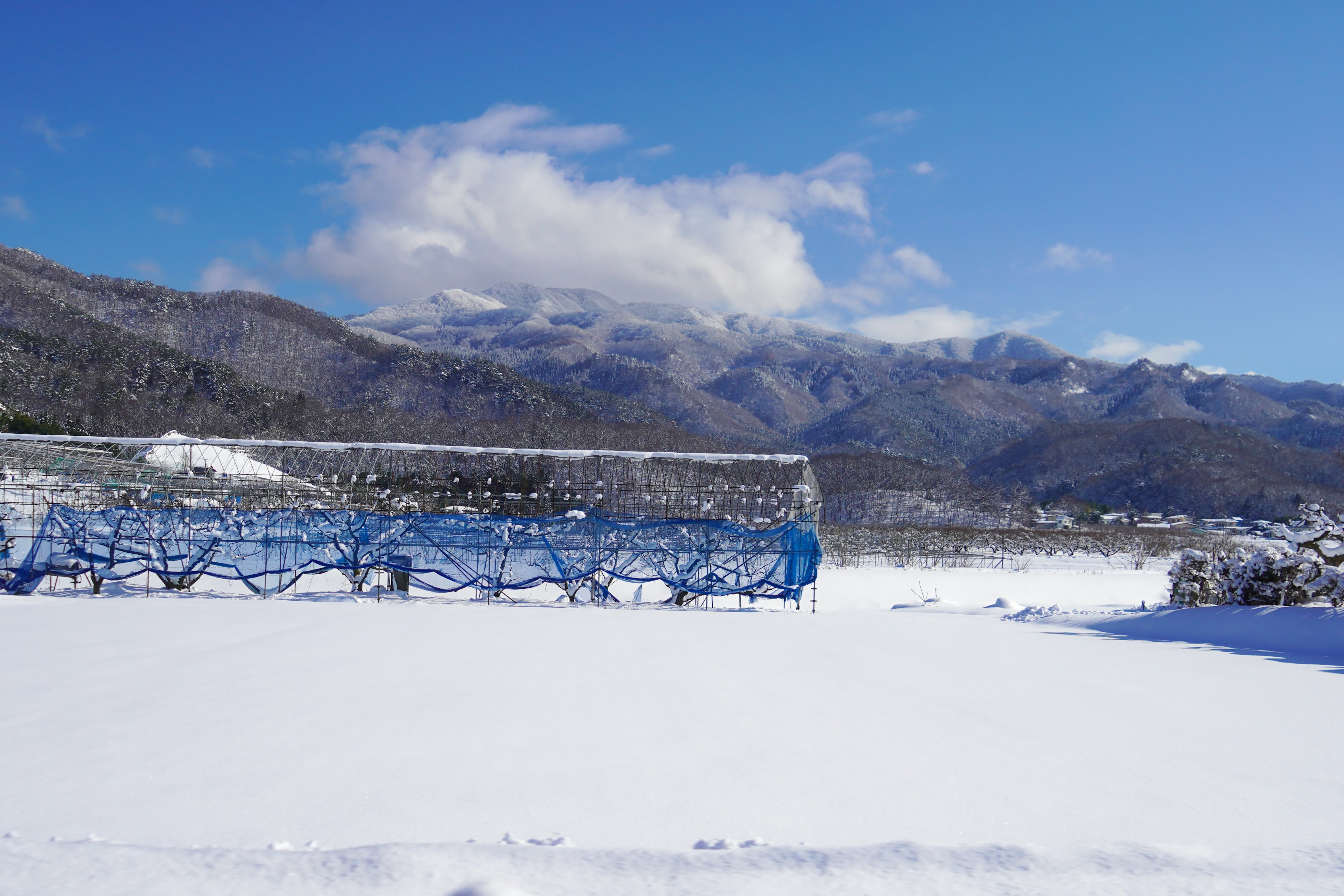 Porta da calcio coperta di neve con montagne sullo sfondo