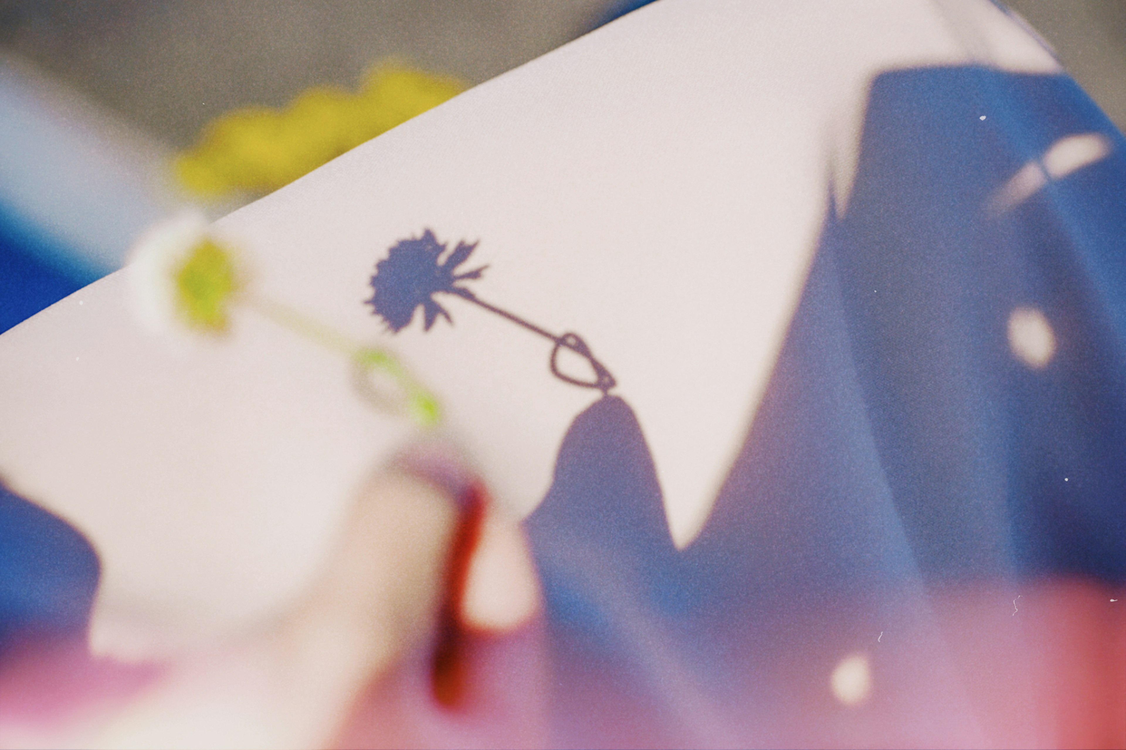 A gentle photo showing the shadow of a flower held in hand