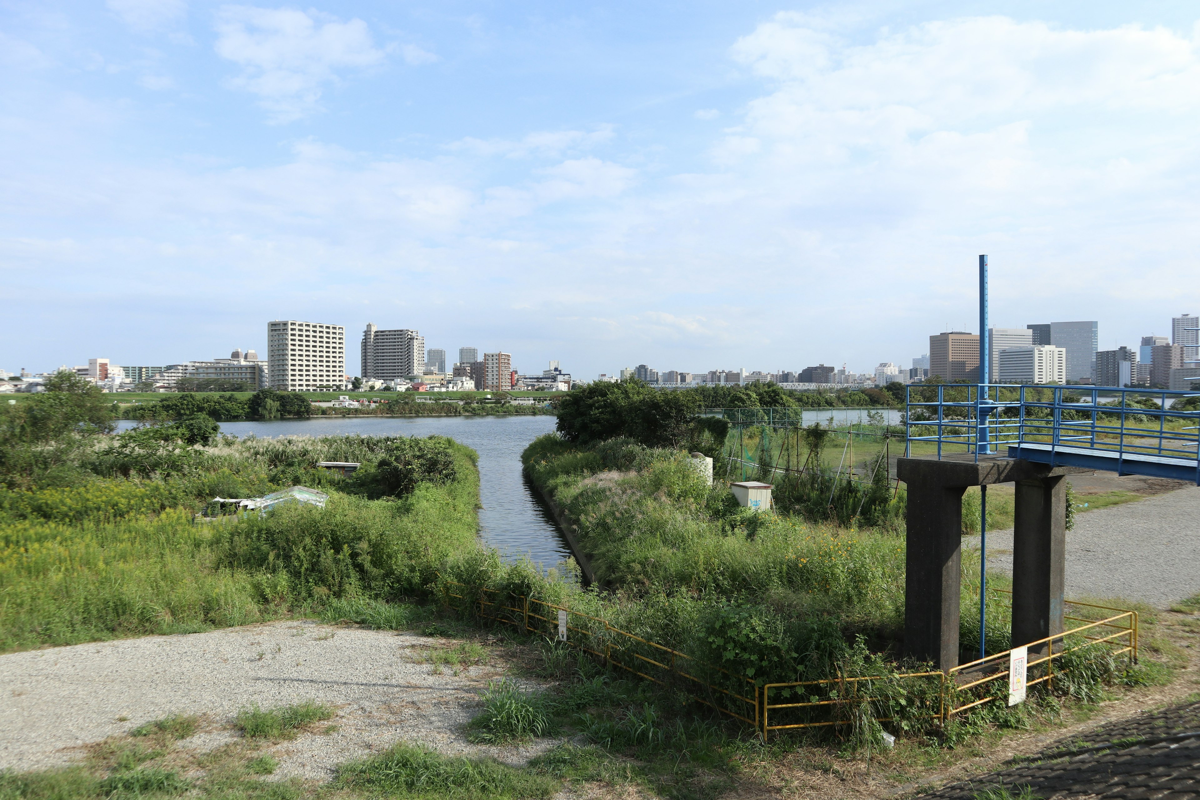 Un'area verdeggiante con un fiume e lo skyline di una città