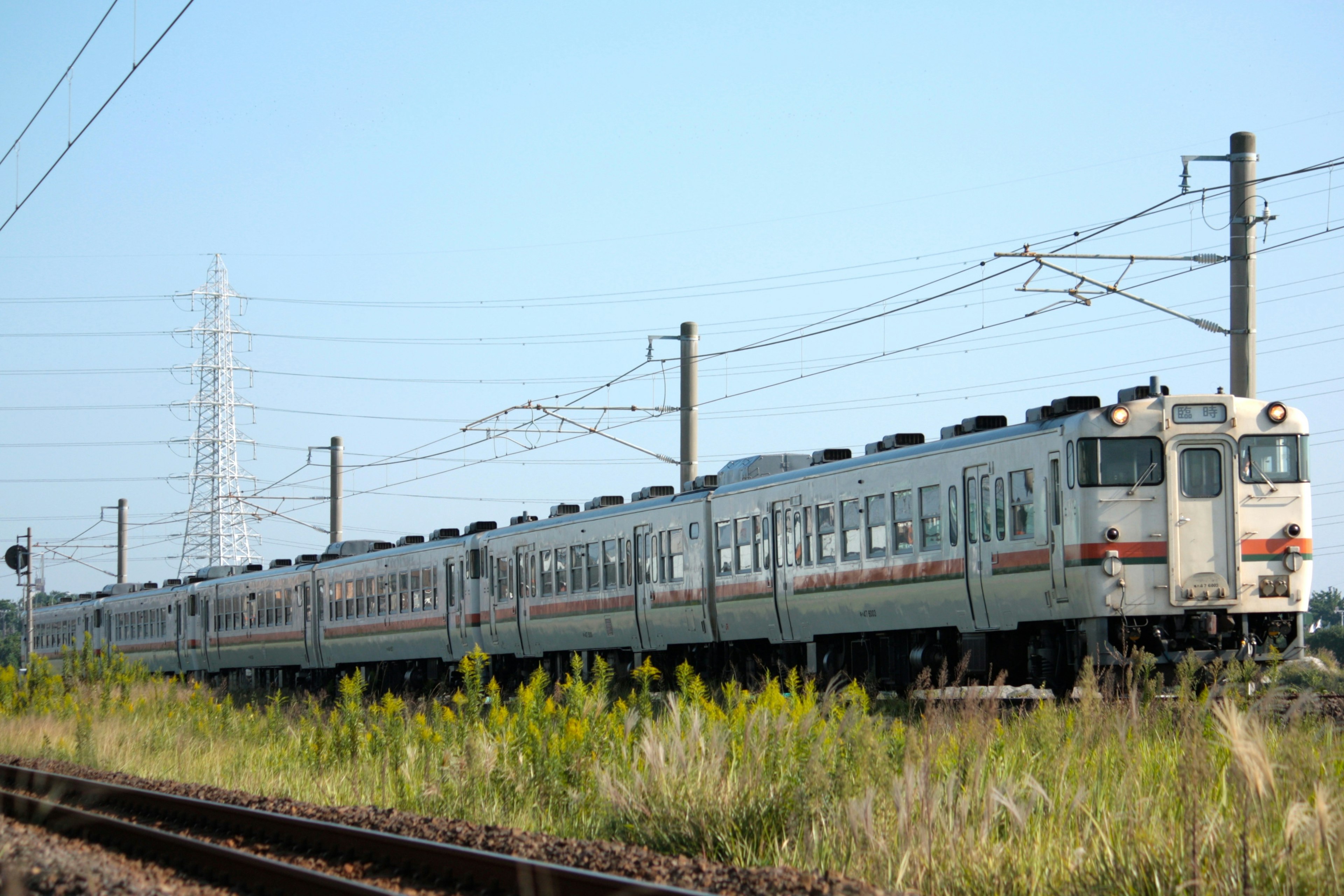 A white train running through a grassy area