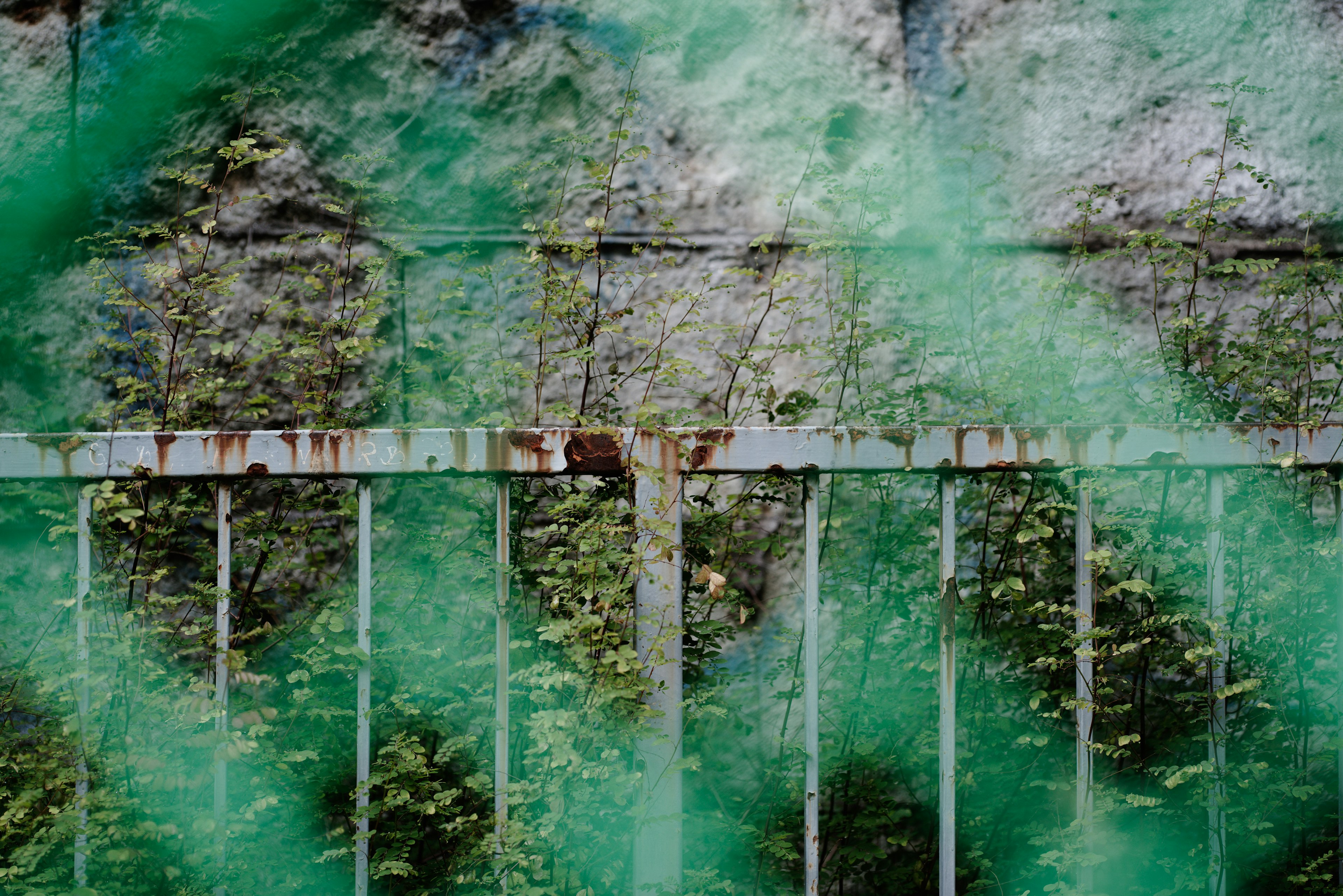 Old fence with rust and mossy wall shrouded in green mist