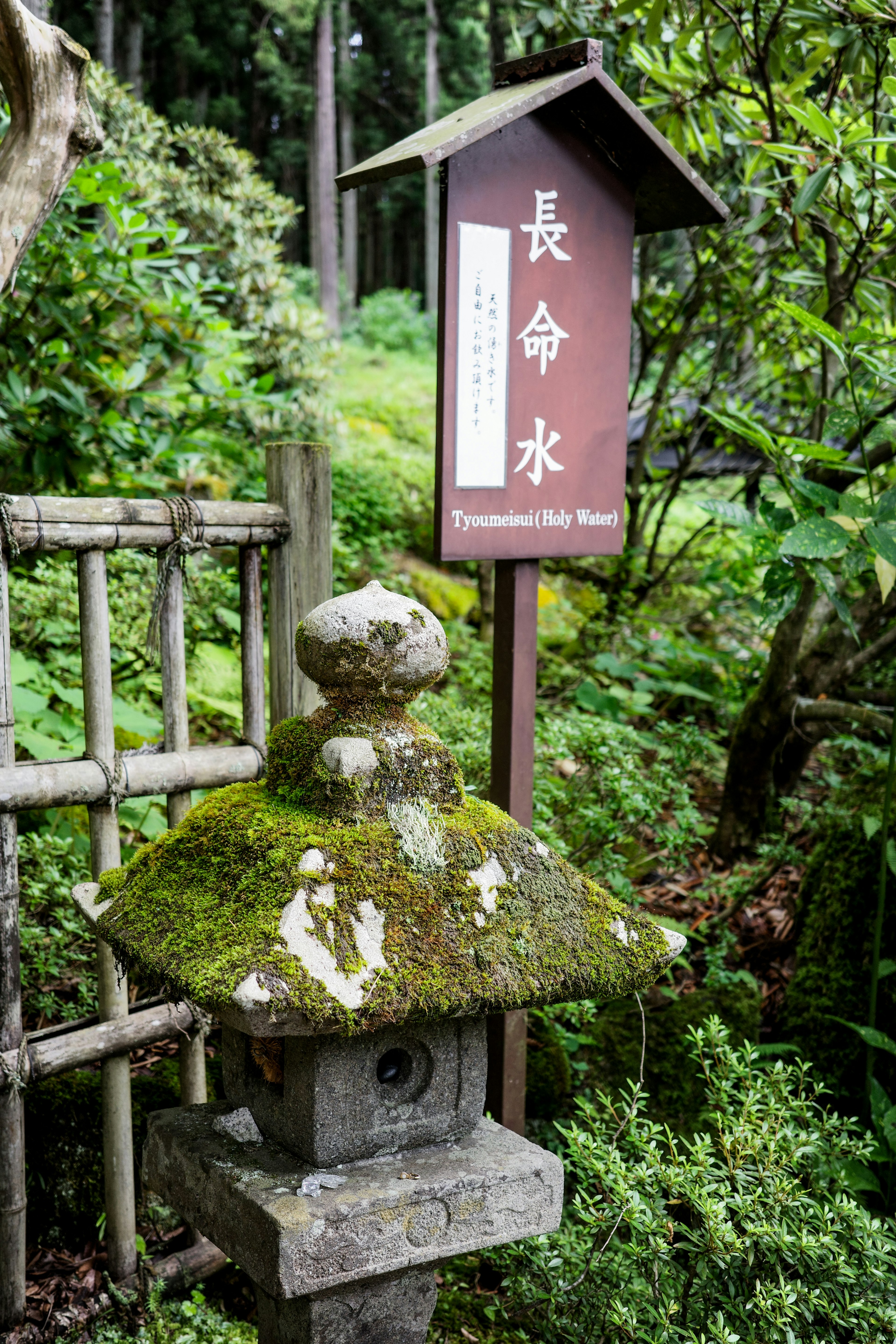 苔むした石灯籠と長命水の看板がある静かな庭の風景