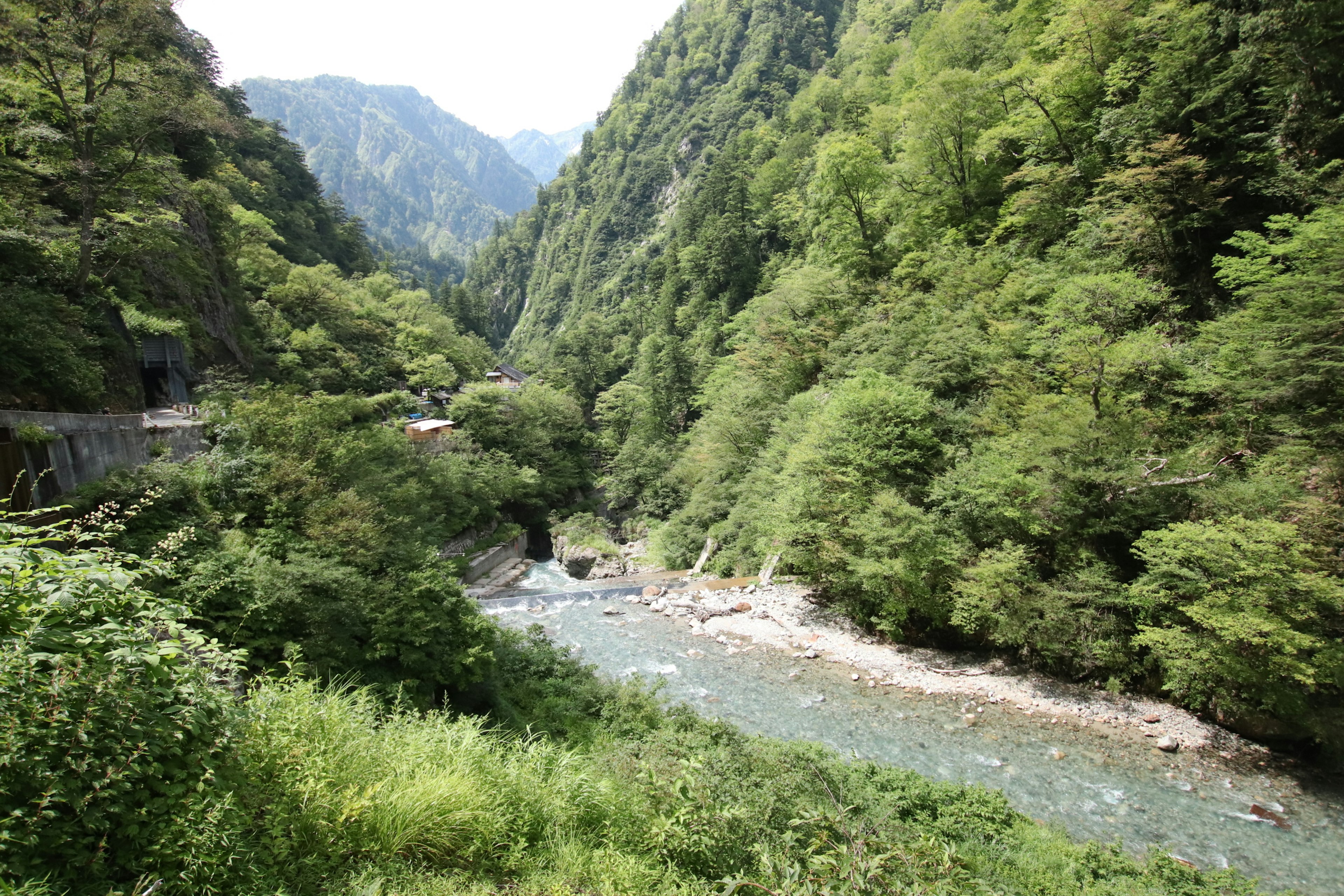 被郁郁蔥蔥的山脈環繞的清澈溪流的風景