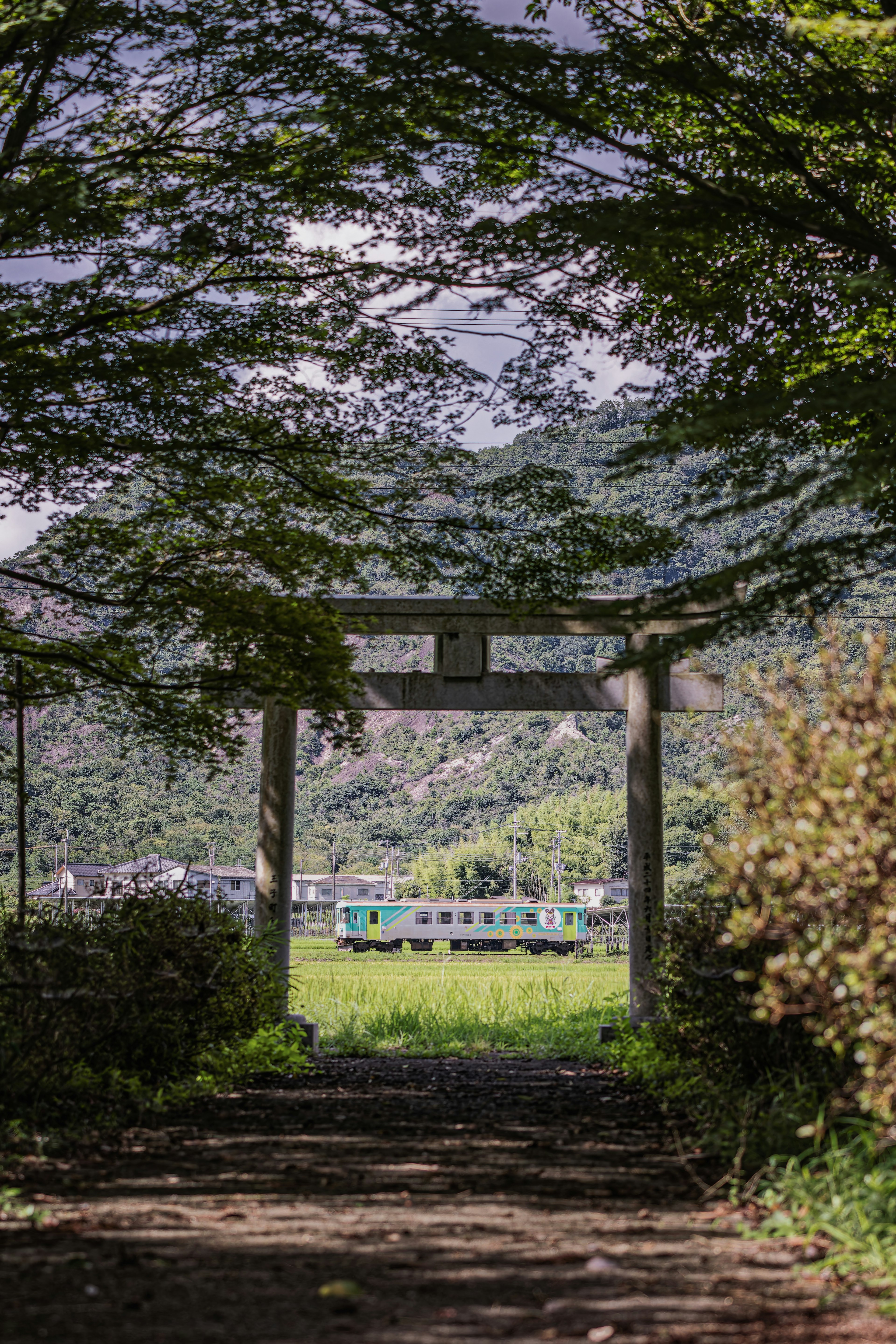 Pemandangan melalui torii yang menunjukkan ladang hijau dan kereta