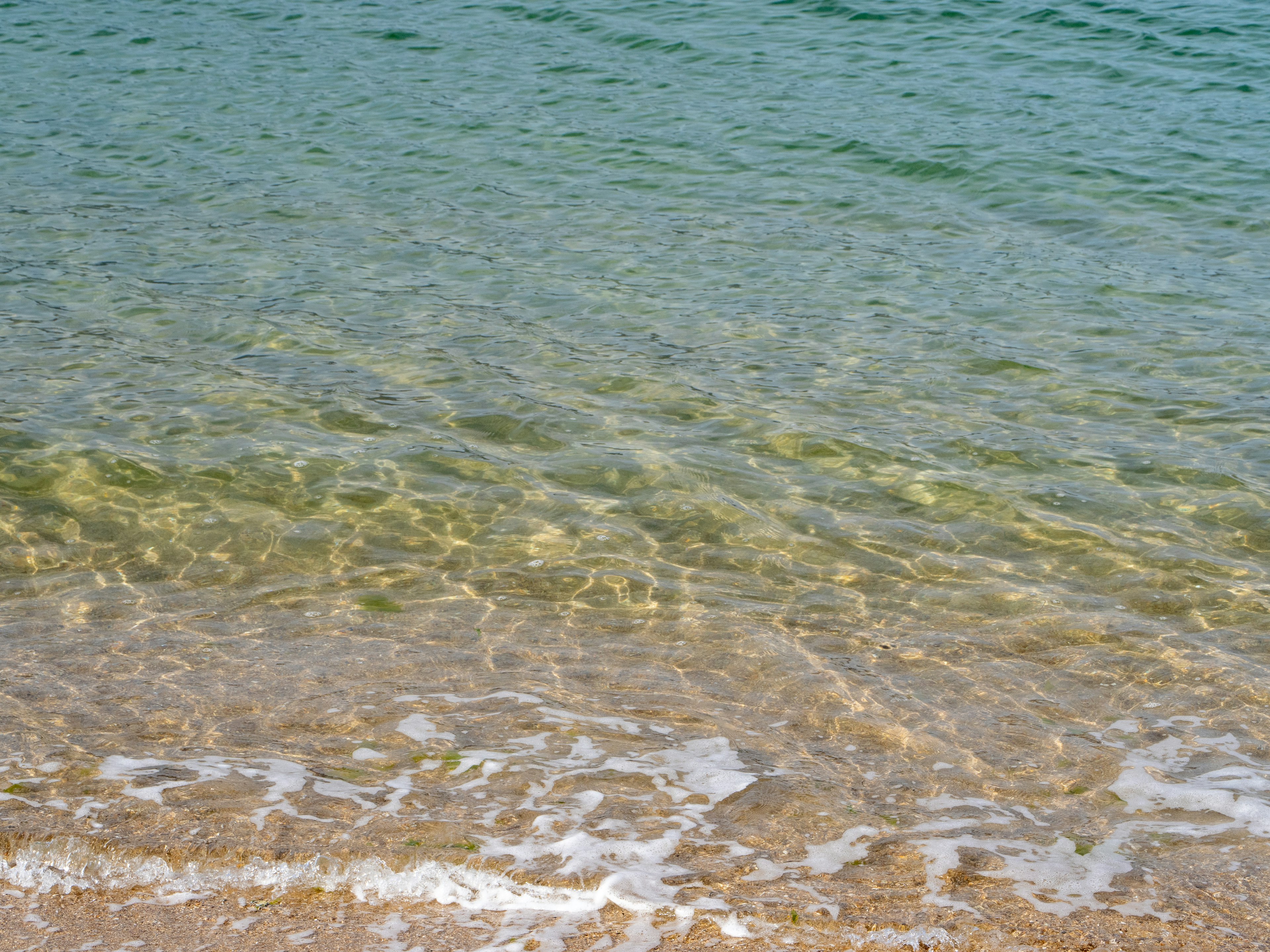 Superficie d'acqua chiara con spiaggia sabbiosa e onde leggere