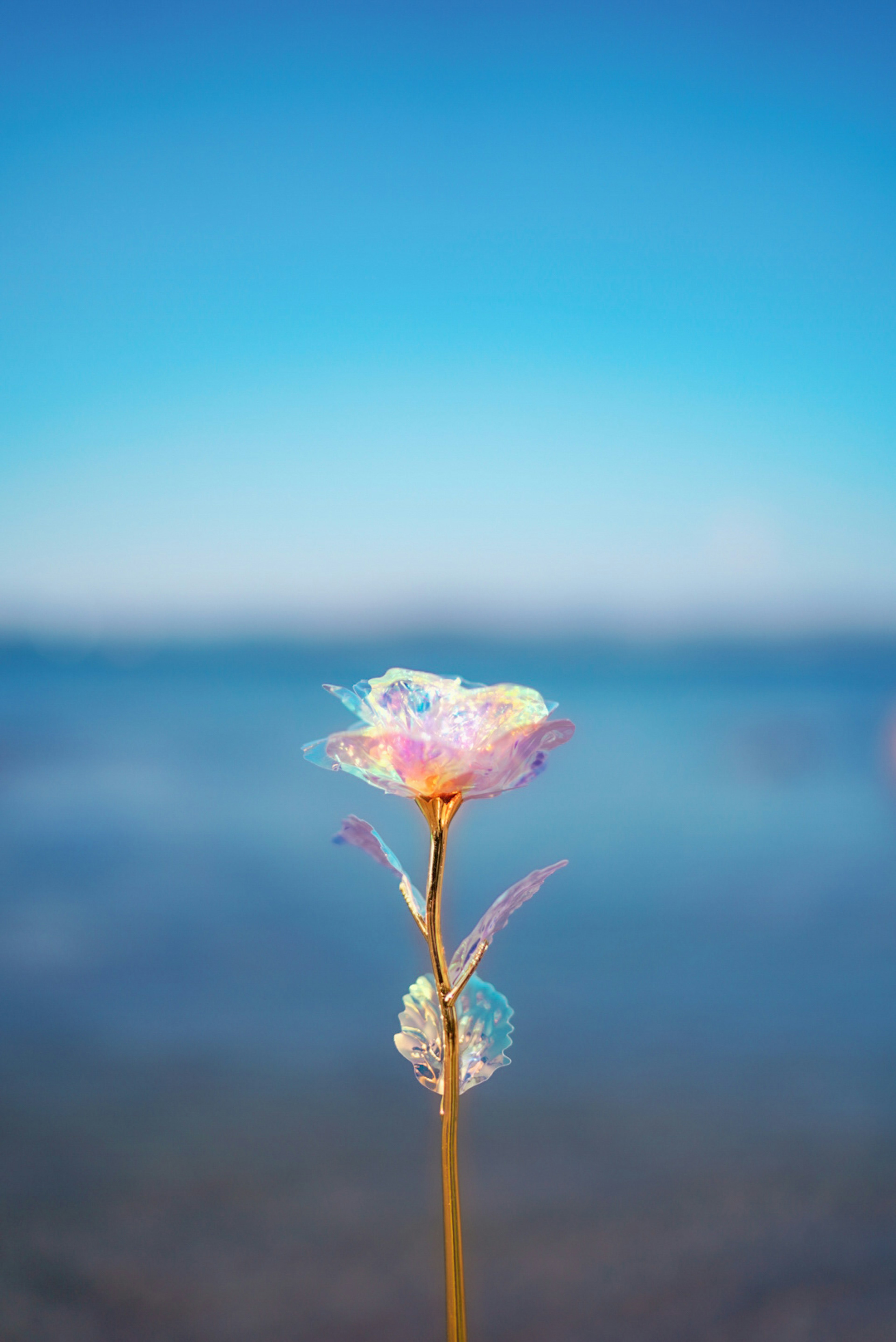 A whimsical flower with pastel colors against a blue sky