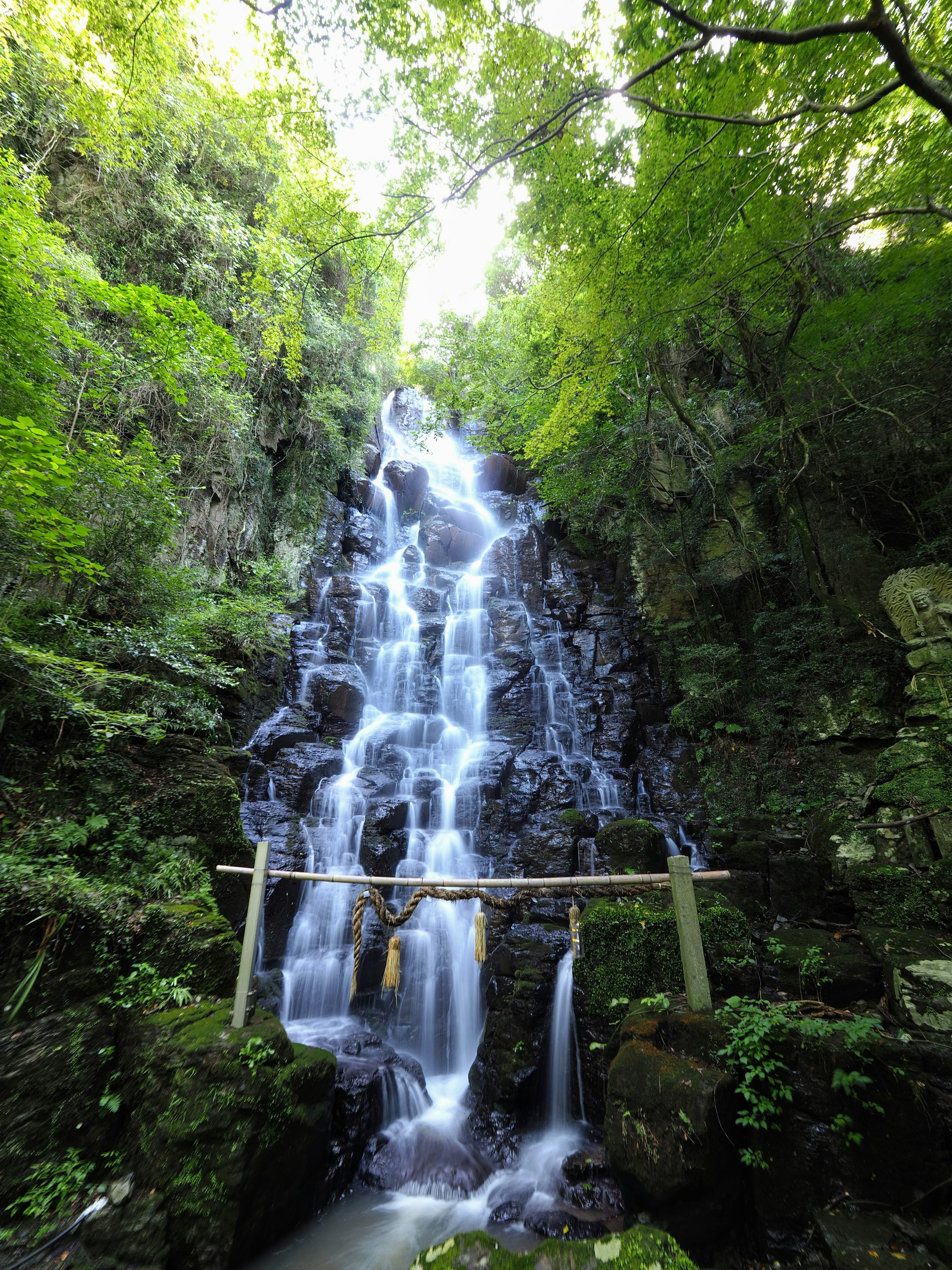 Bellissima cascata circondata da una foresta verdeggiante