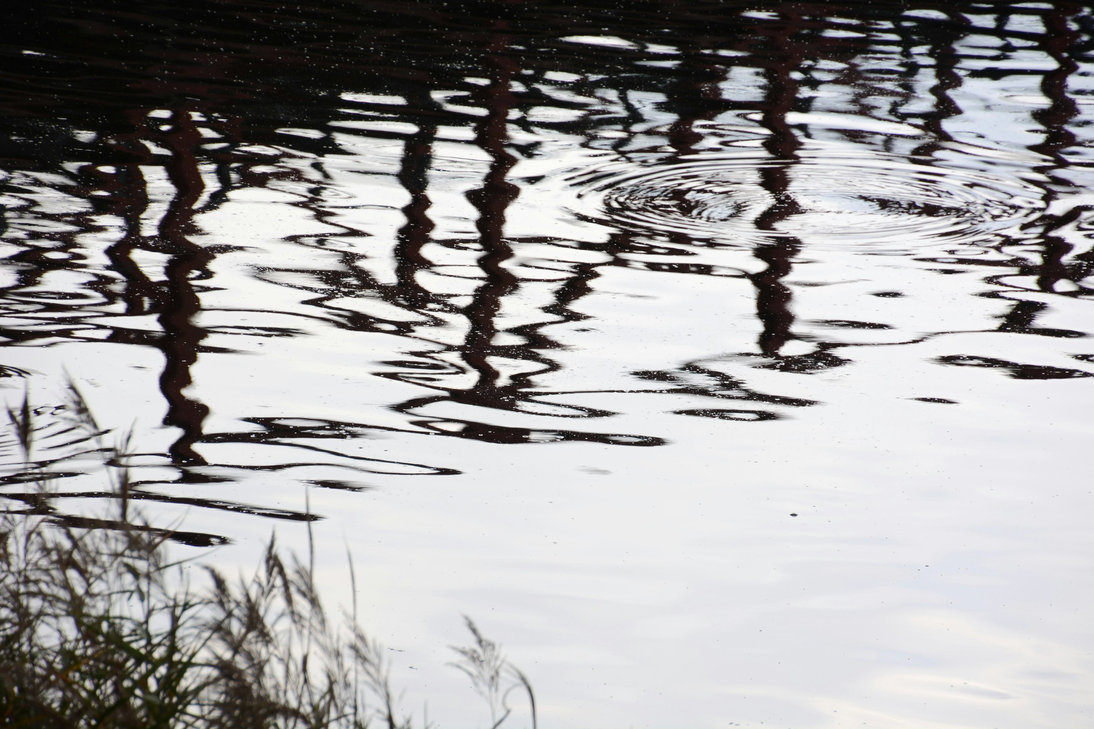 Reflection of silhouettes on water surface with ripples