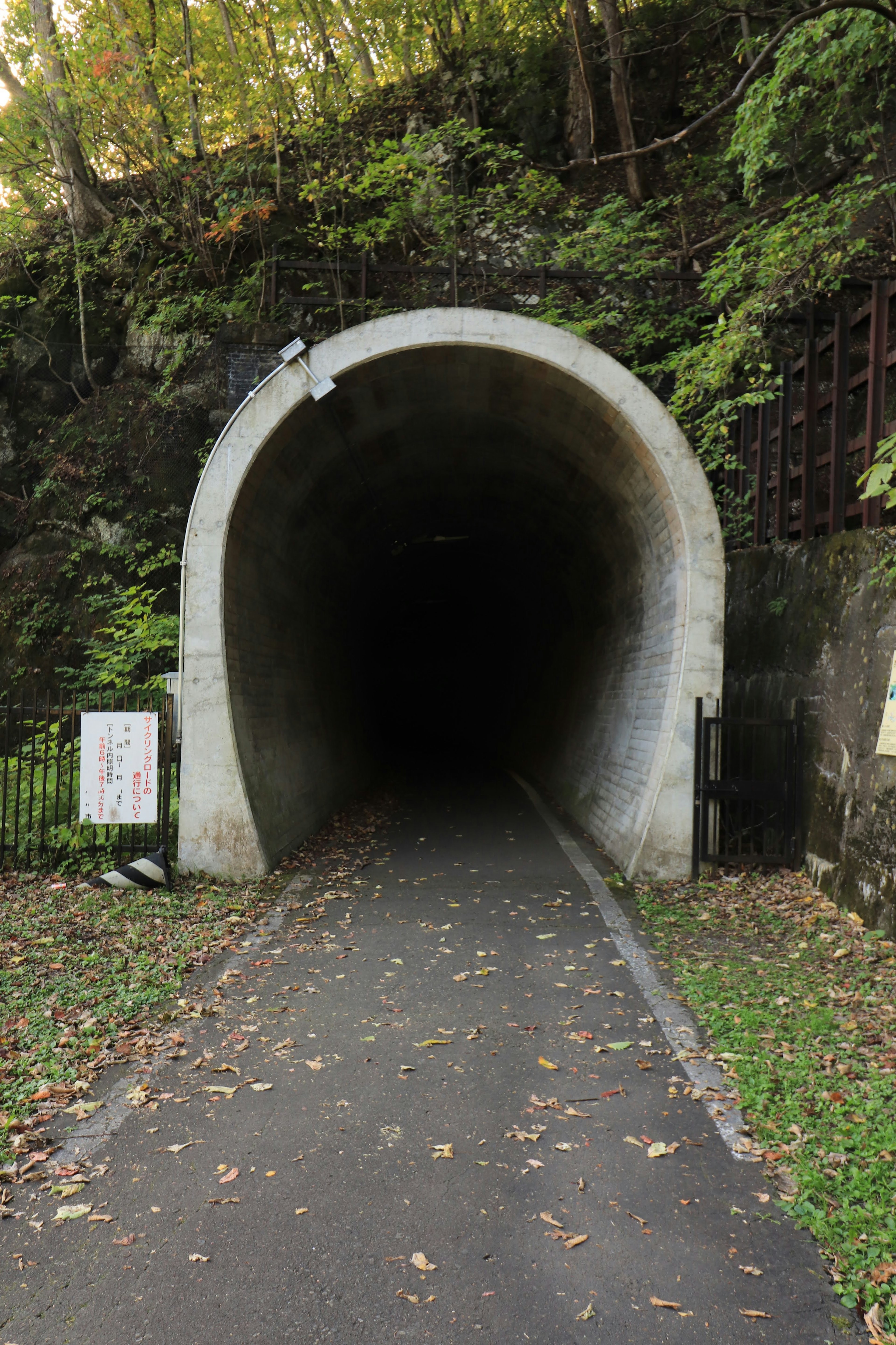 Dark tunnel entrance surrounded by lush greenery