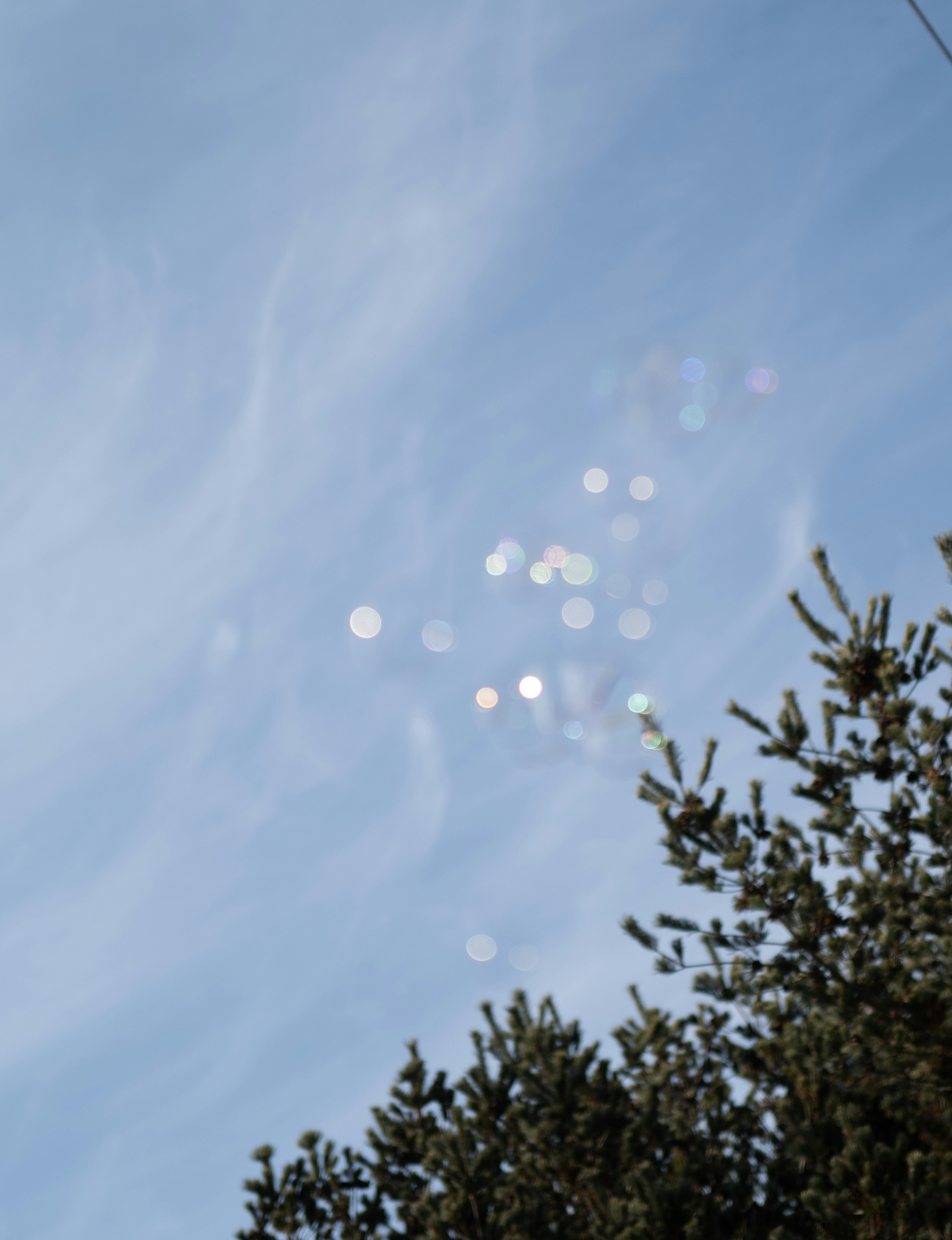 Puntos de luz brillantes en un cielo azul con silueta de árbol