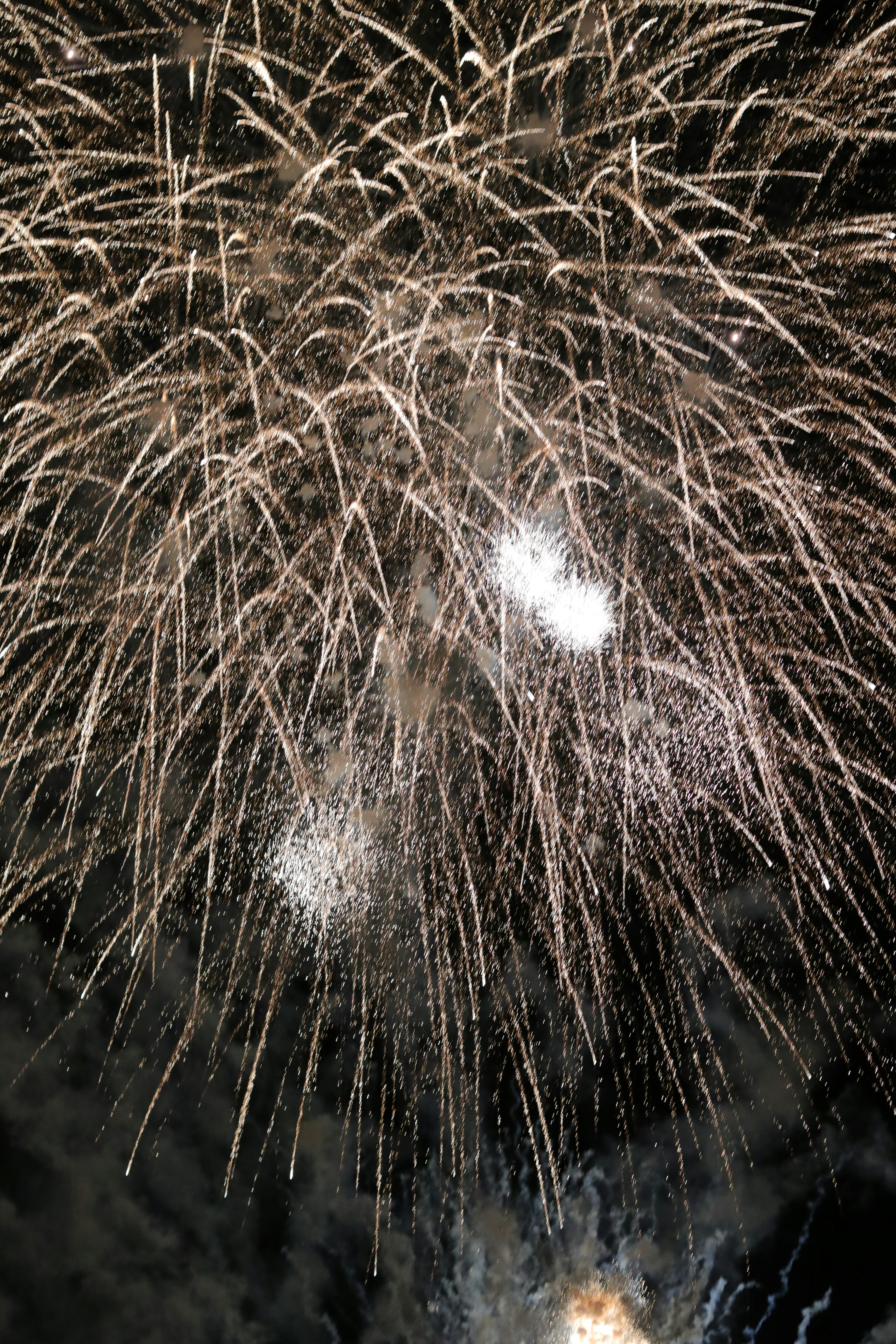 Schöne Feuerwerksanzeige erhellt den Nachthimmel