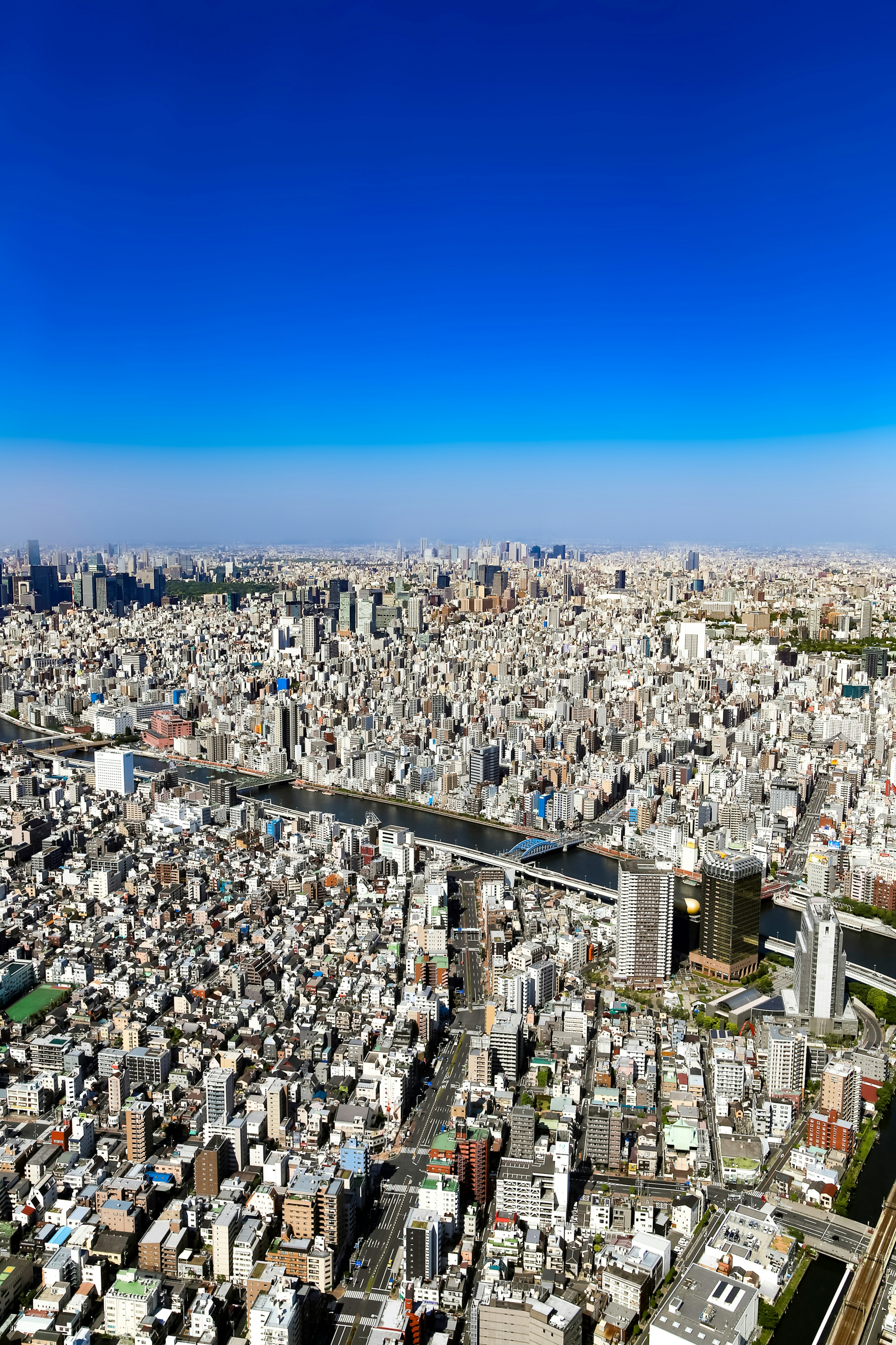 Vista aérea del vasto paisaje urbano de Tokio bajo un cielo azul claro