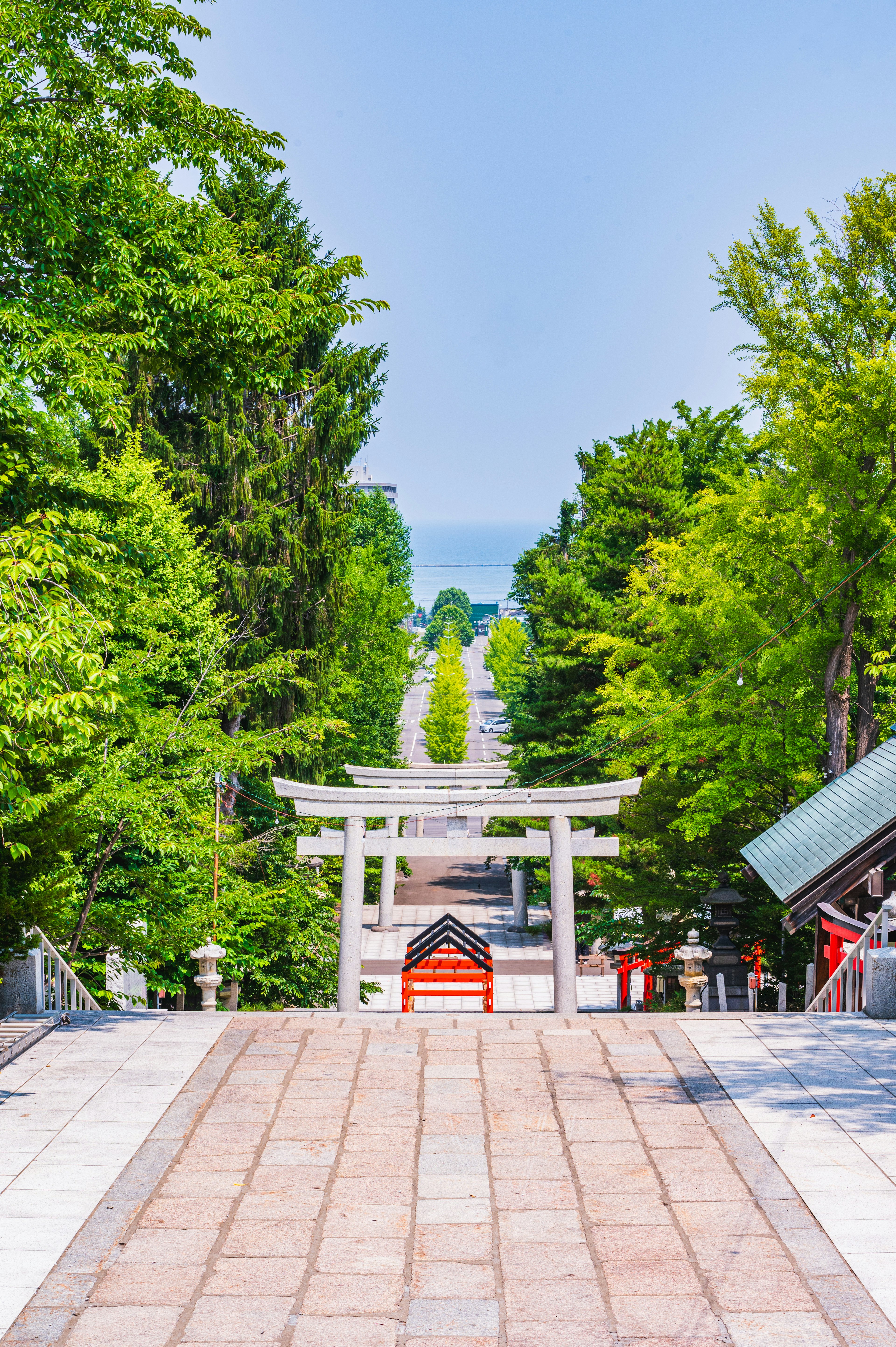 緑豊かな木々に囲まれた神社の石段と鳥居の景色