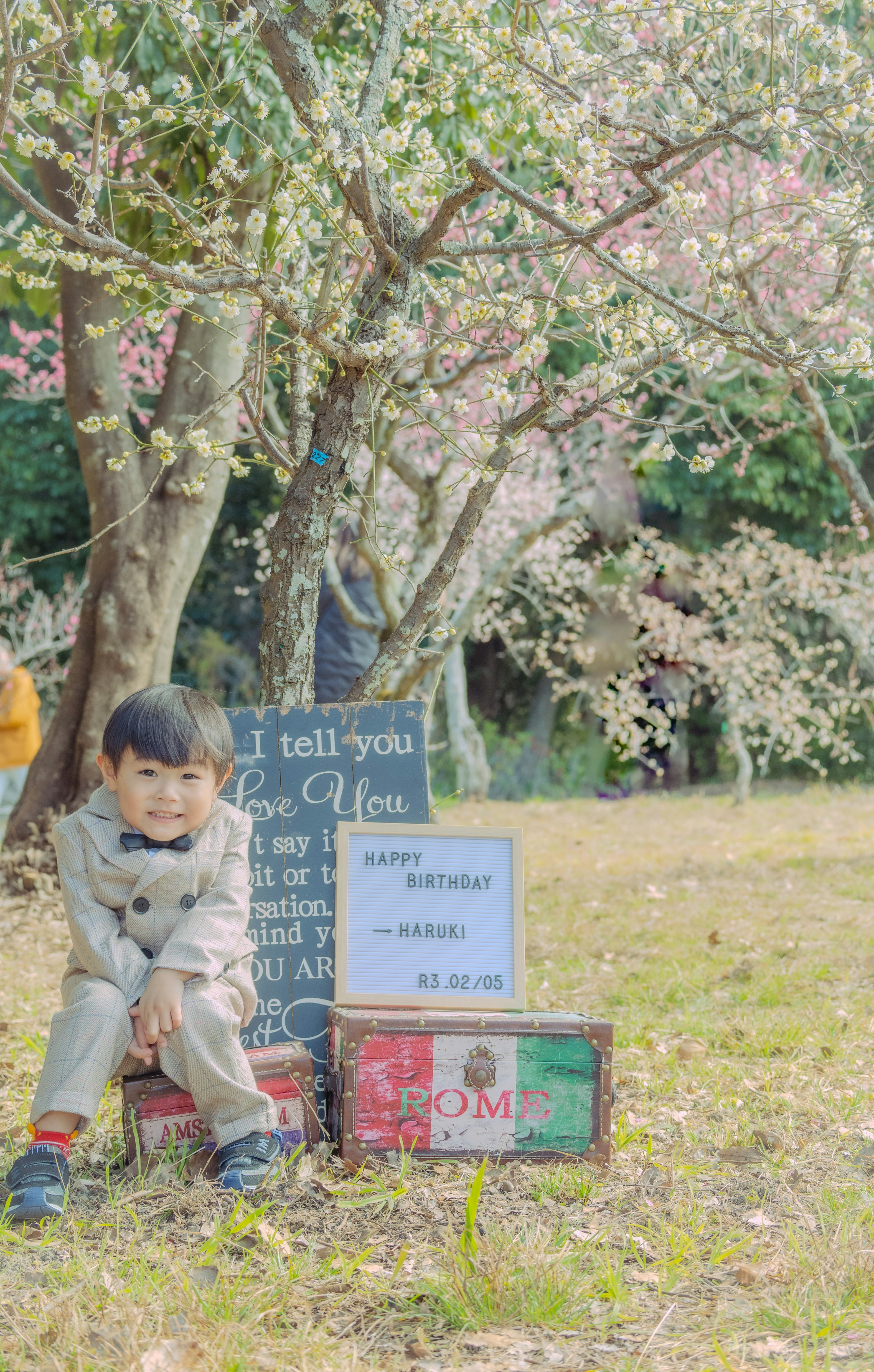 Bambino seduto sotto un albero di ciliegio con scatole colorate