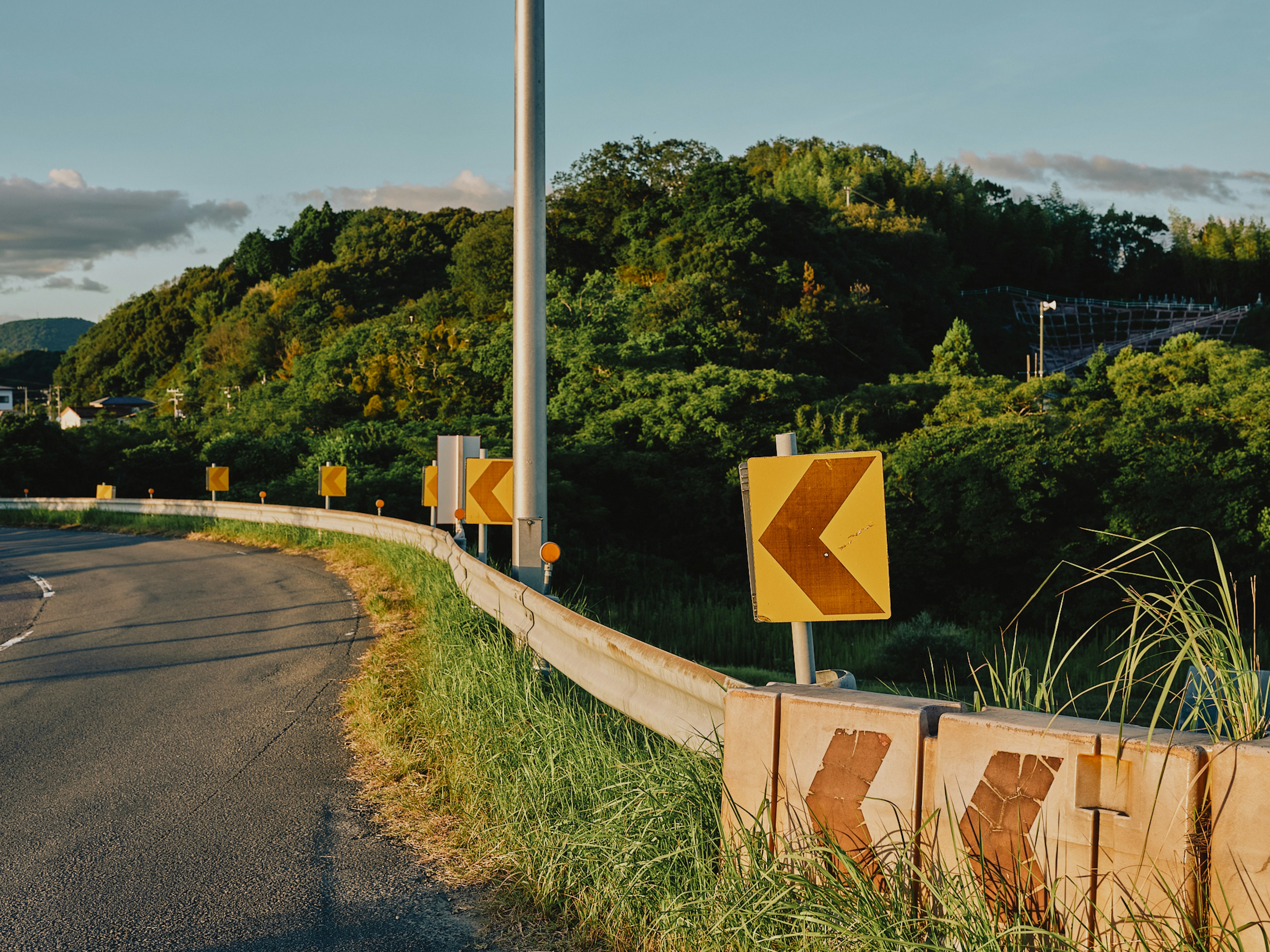 Carretera curva con señales direccionales amarillas y vegetación exuberante