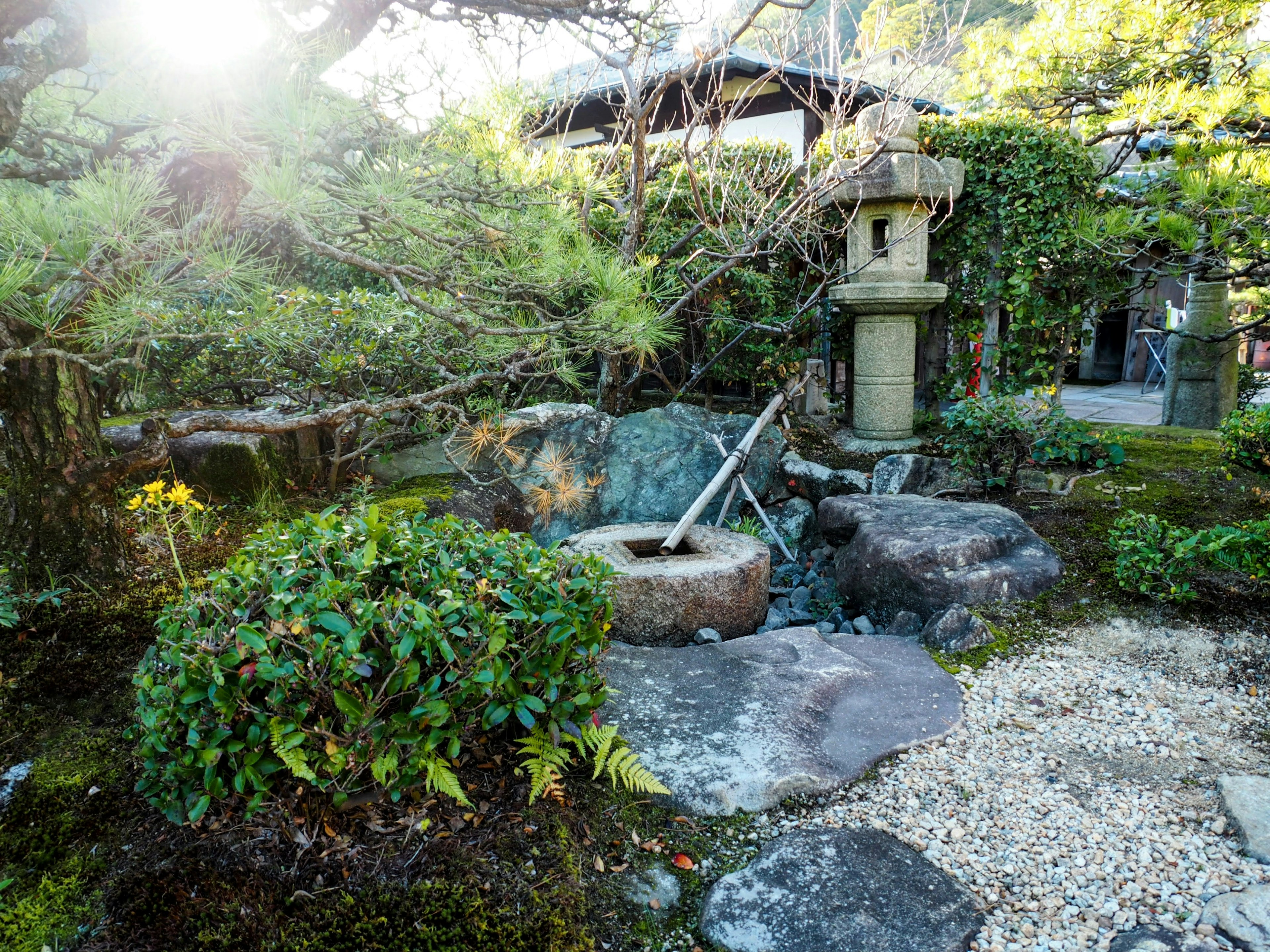 Scena di giardino giapponese serena con una lanterna di pietra e una ruota d'acqua in un ambiente rigoglioso