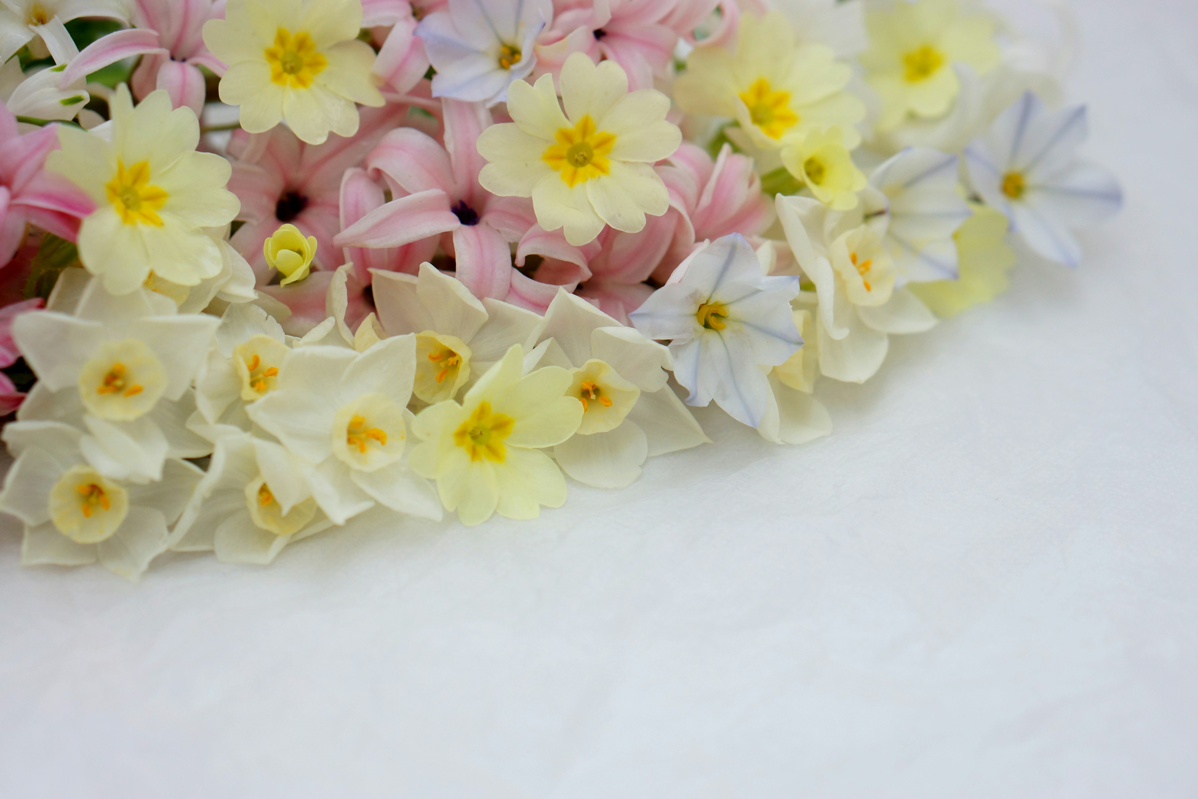 Una hermosa variedad de pequeñas flores de colores en tonos pastel