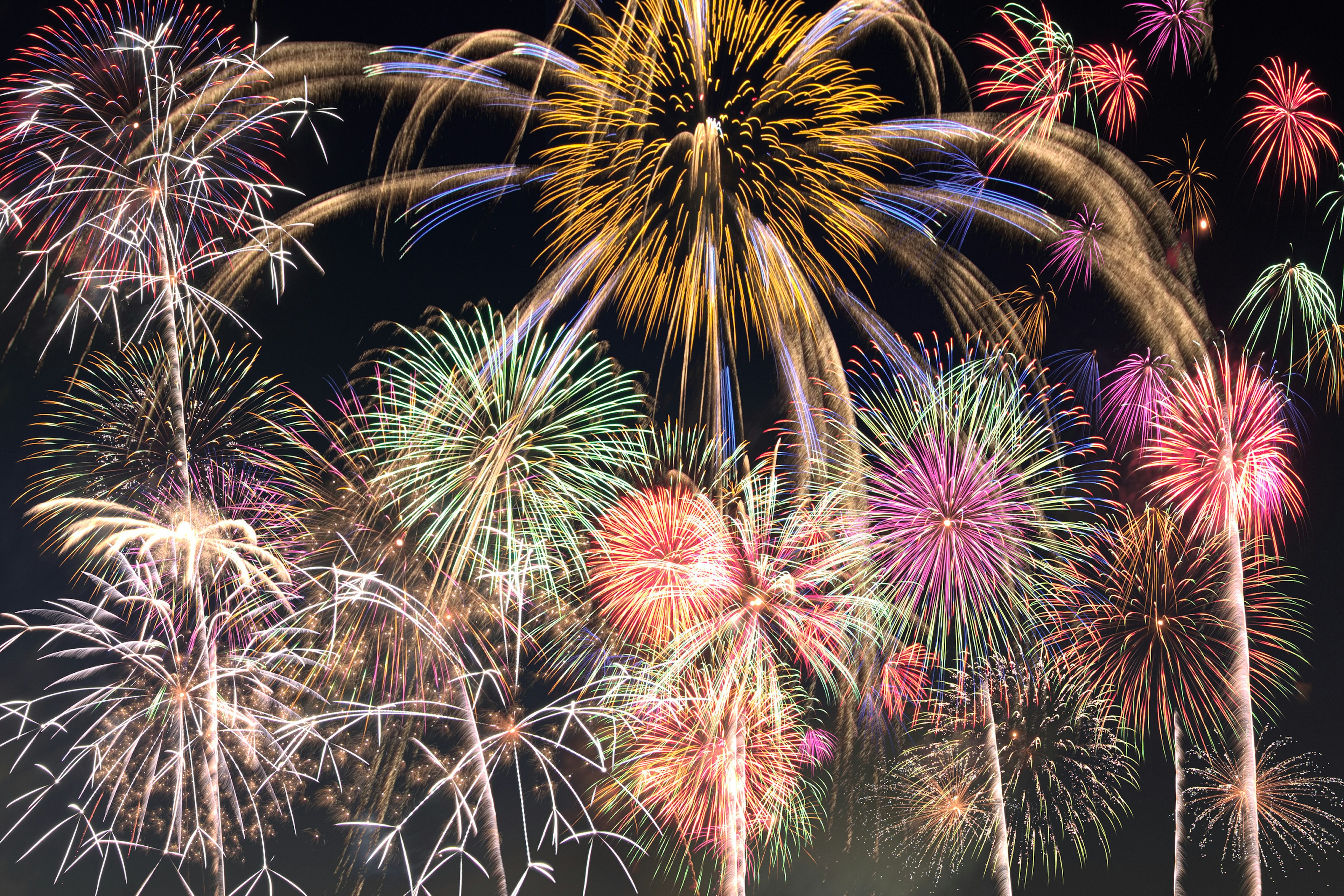 Fuochi d'artificio colorati che esplodono nel cielo notturno