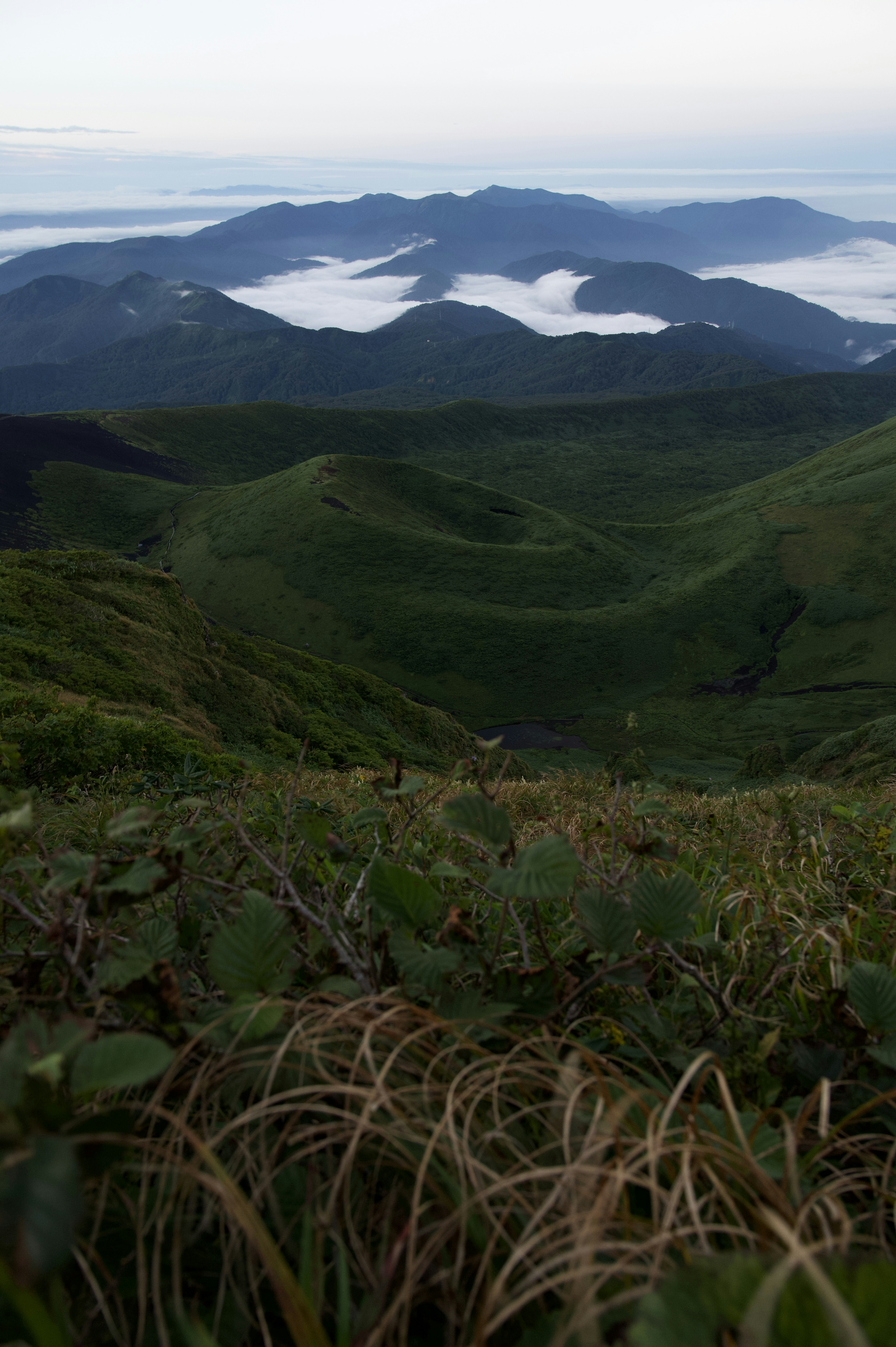 Pemandangan panorama pegunungan hijau dengan lautan awan di kejauhan