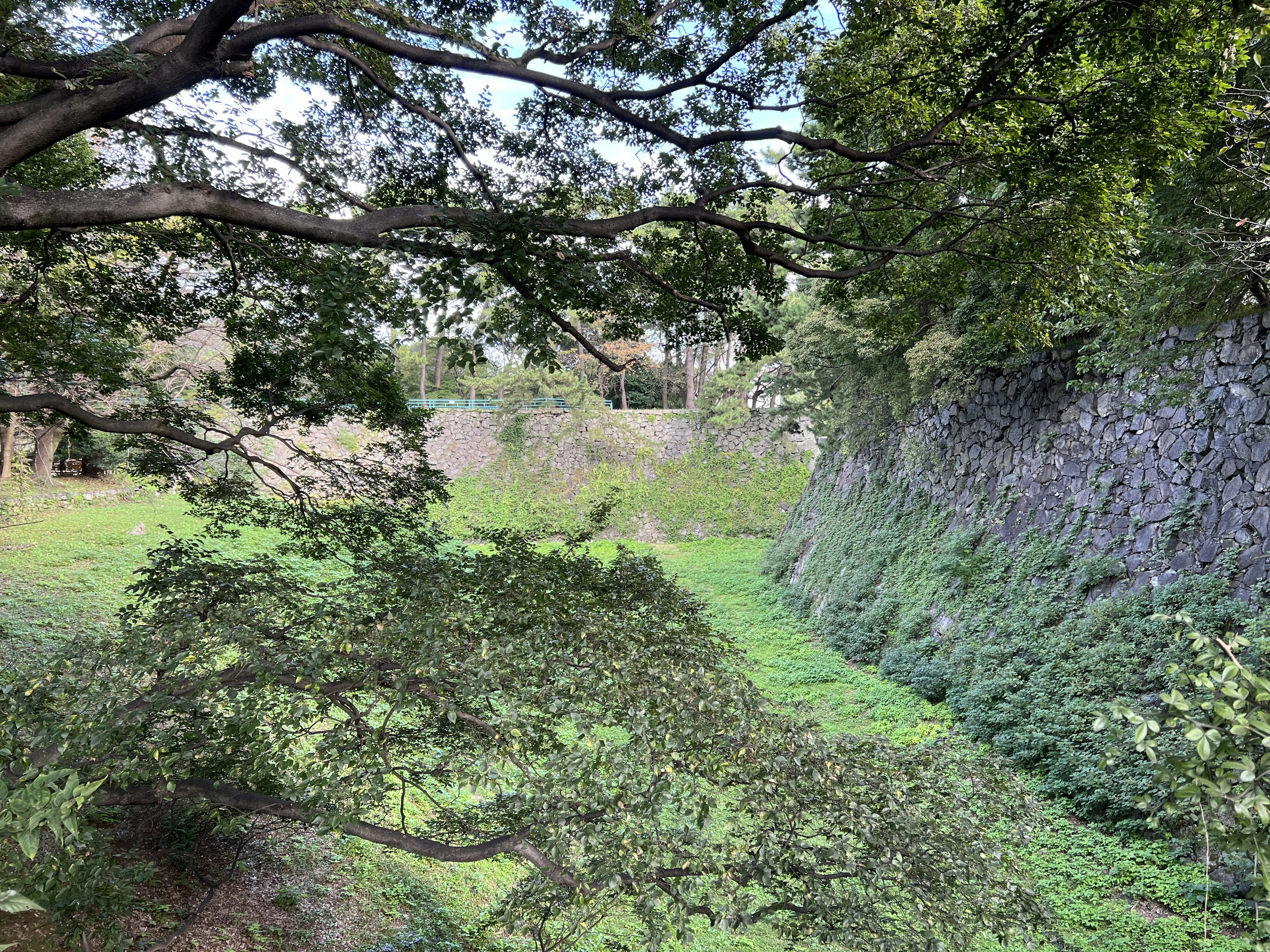 View overlooking a section of castle wall surrounded by lush greenery