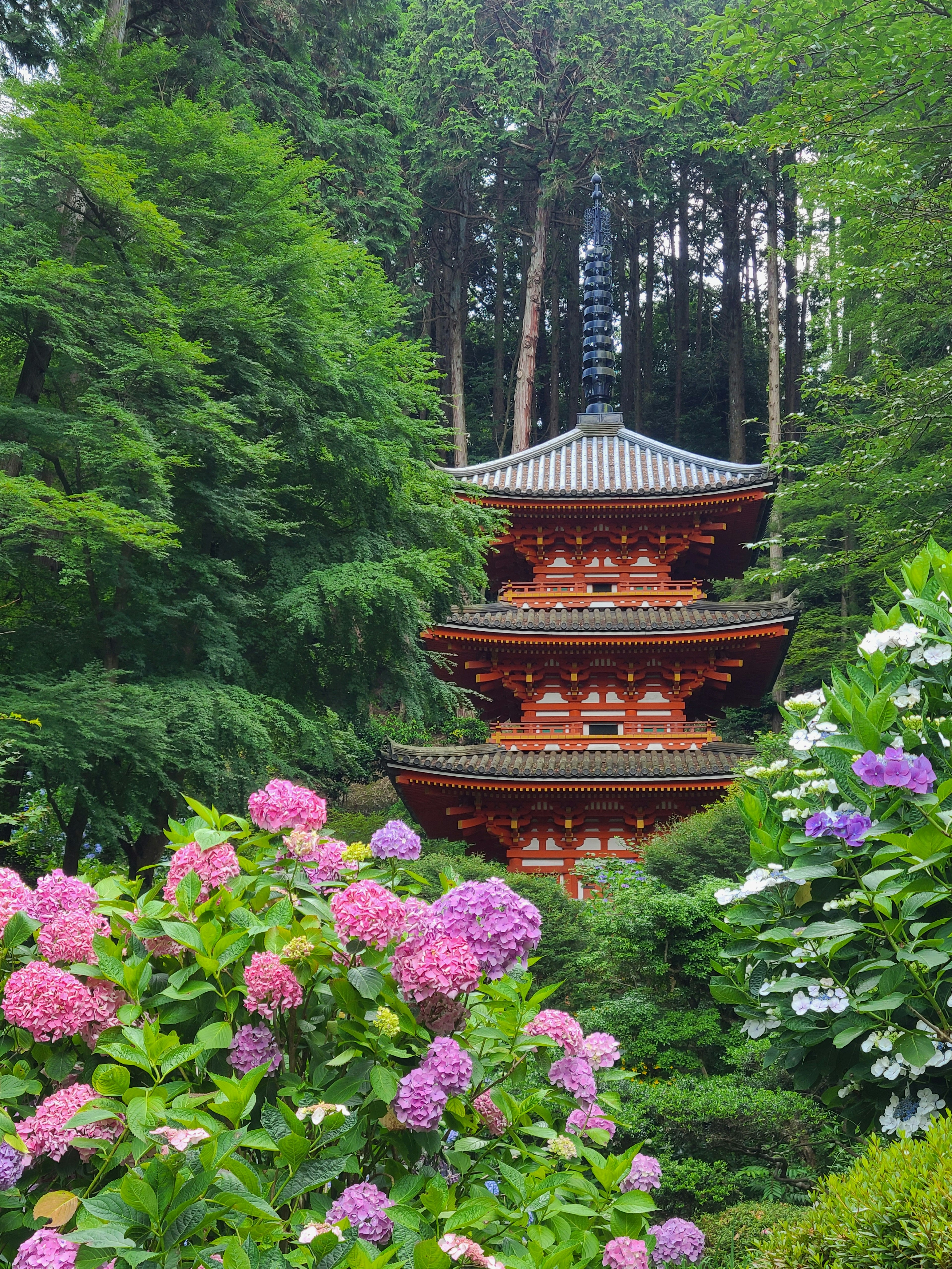 Pagoda japonesa rodeada de vegetación exuberante y coloridas hortensias