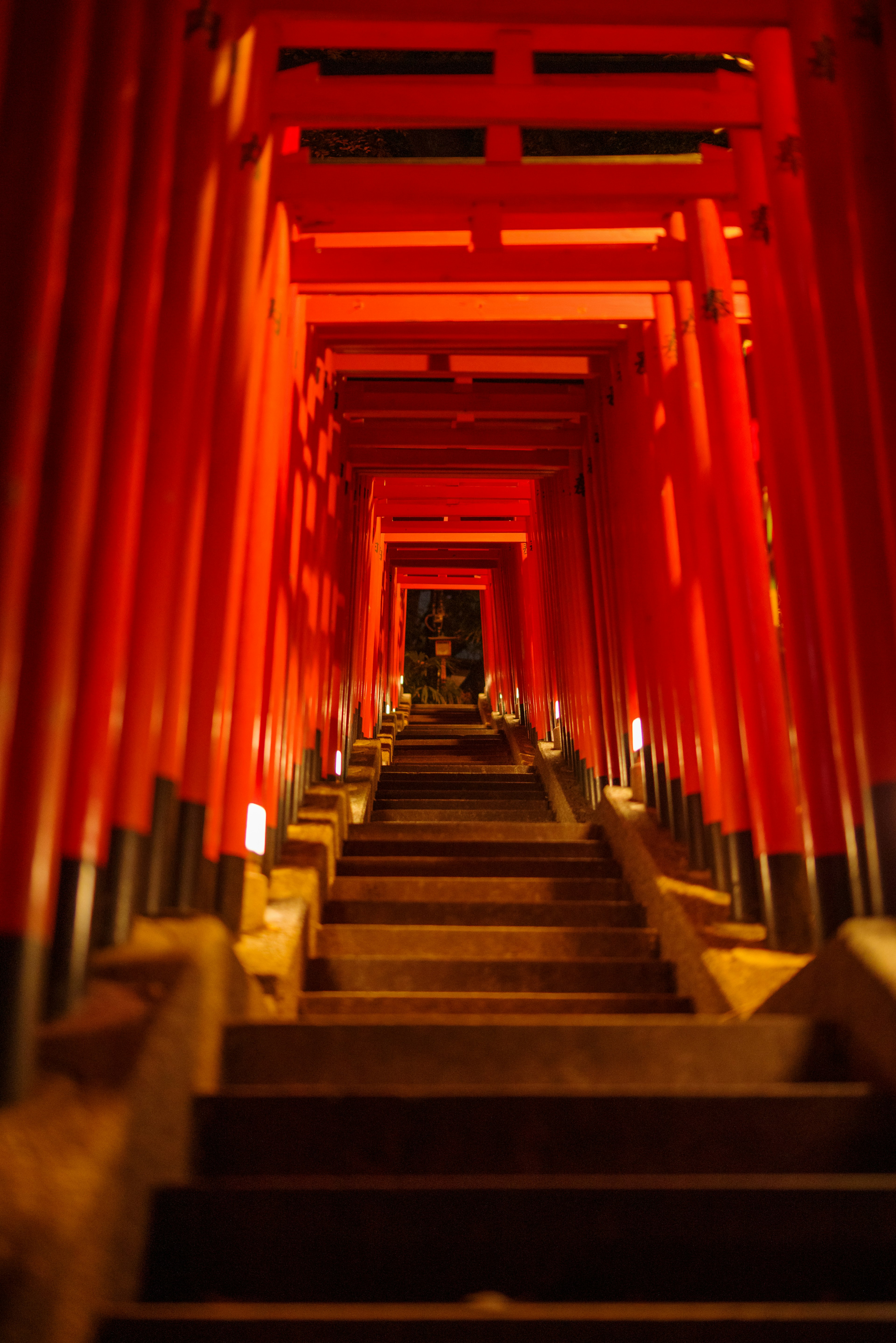 A perspective view of red torii gates leading up a staircase