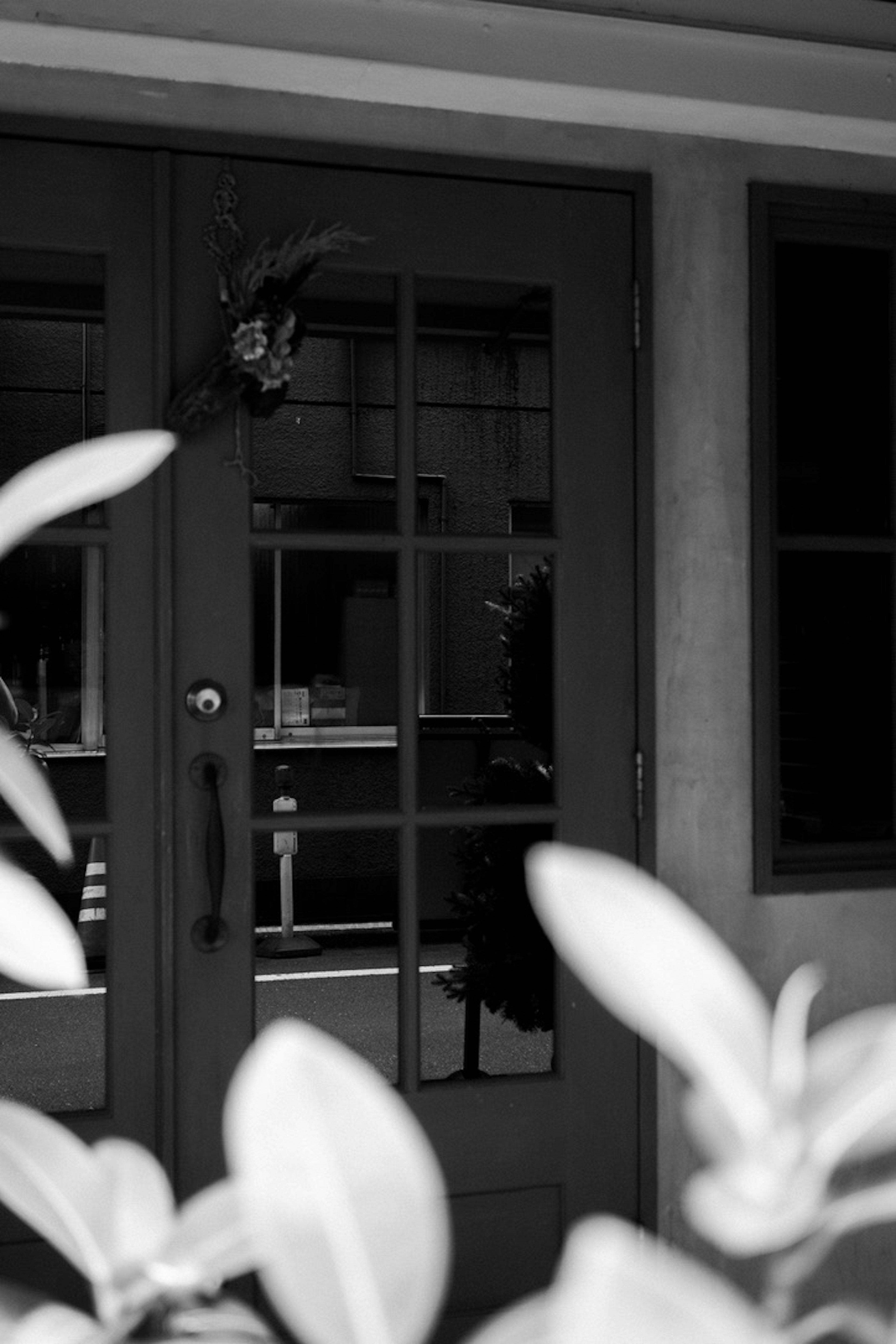 Black and white door framed by greenery