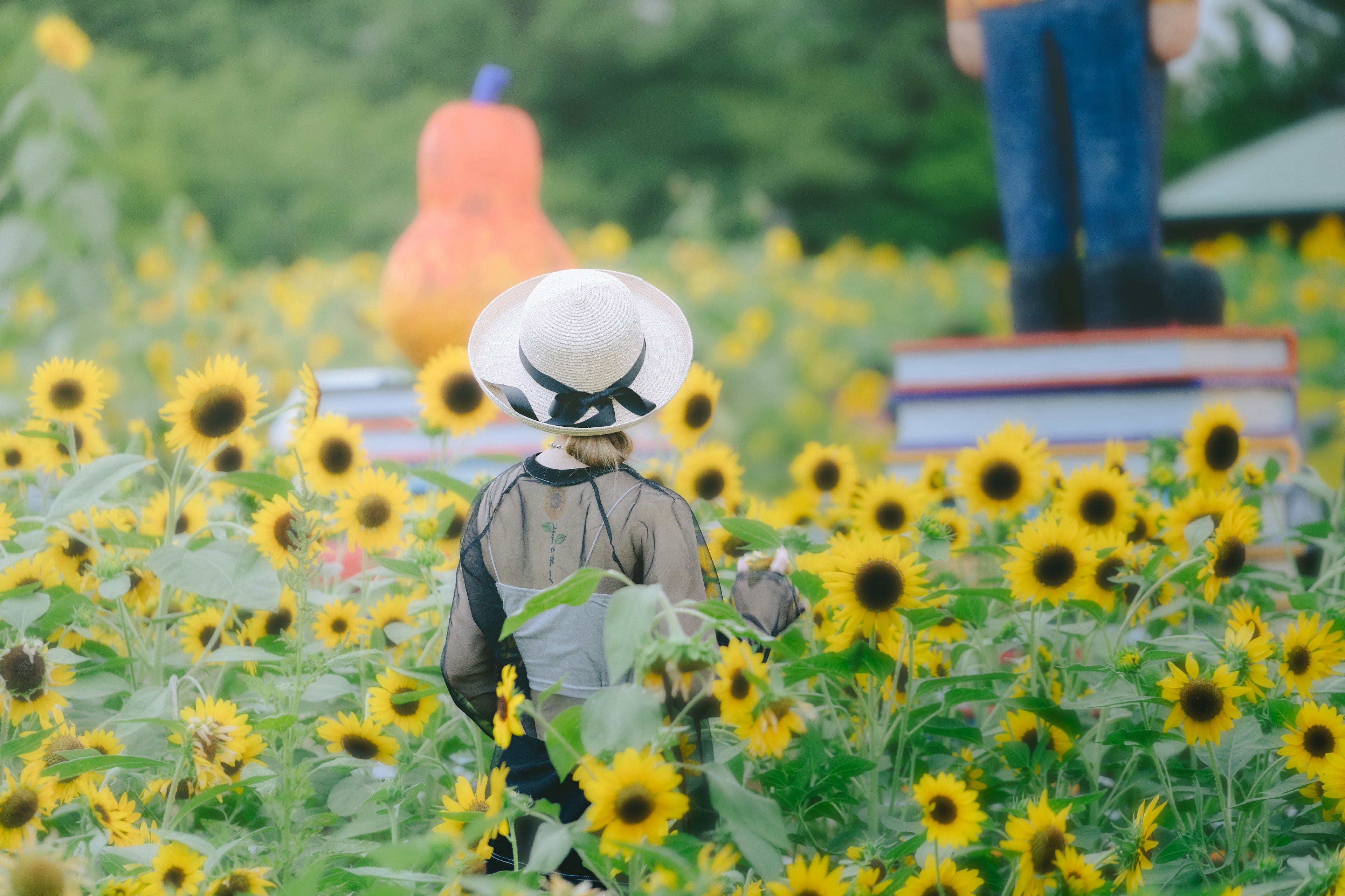 A doll walking through a sunflower field with large figures in the background