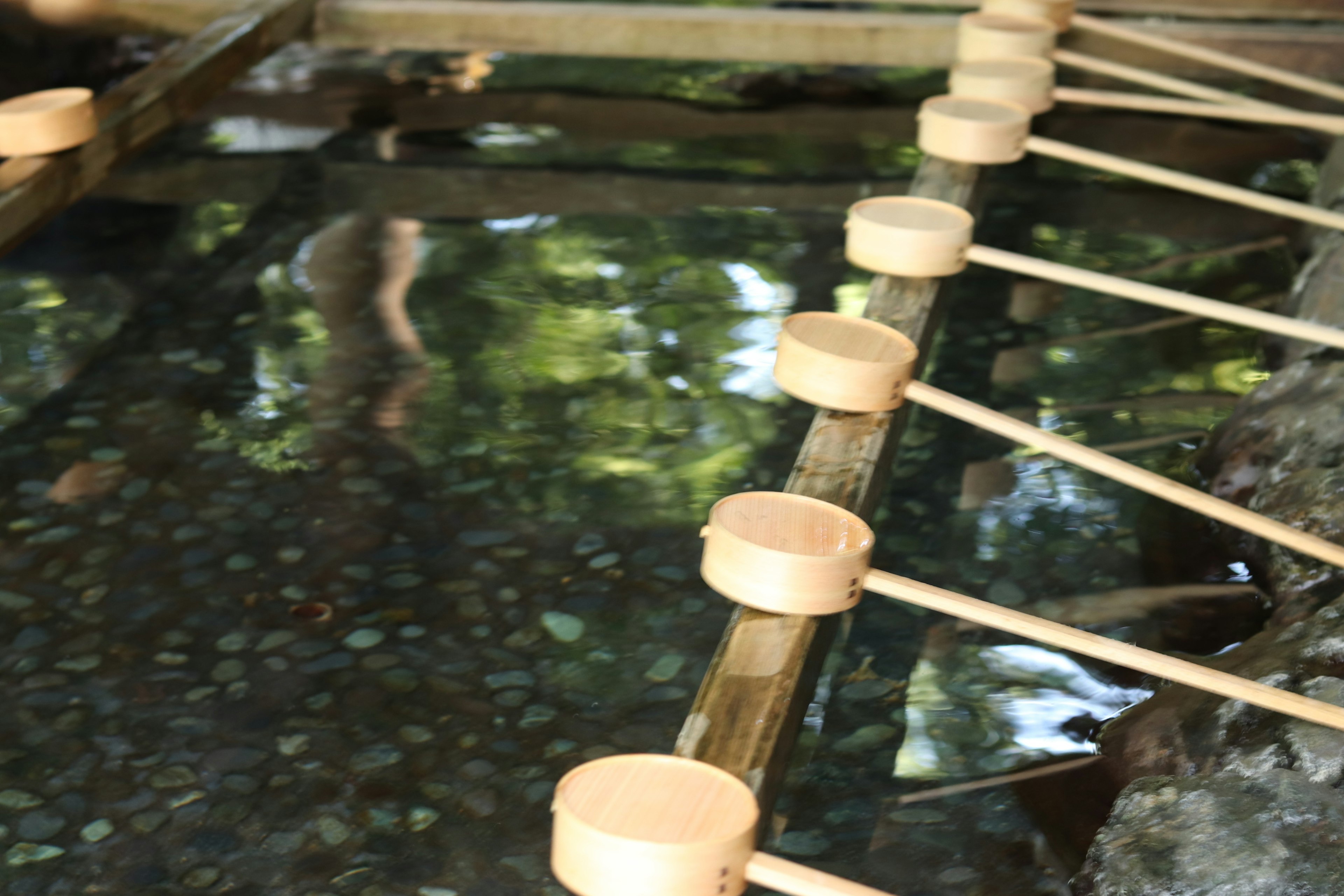 Louches en bois disposées le long d'un bassin d'eau paisible