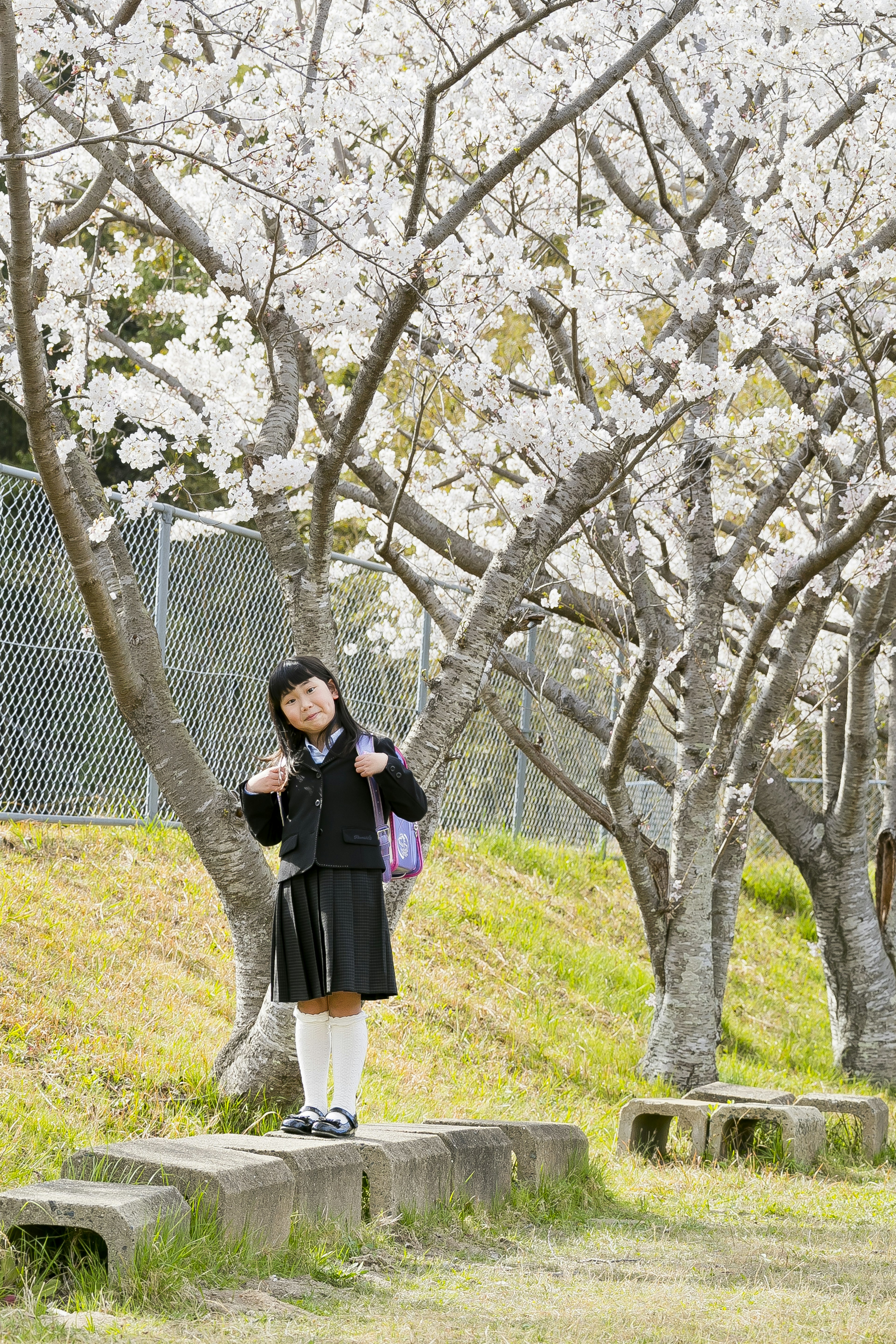 Une fille souriante se tenant sous des cerisiers en fleurs