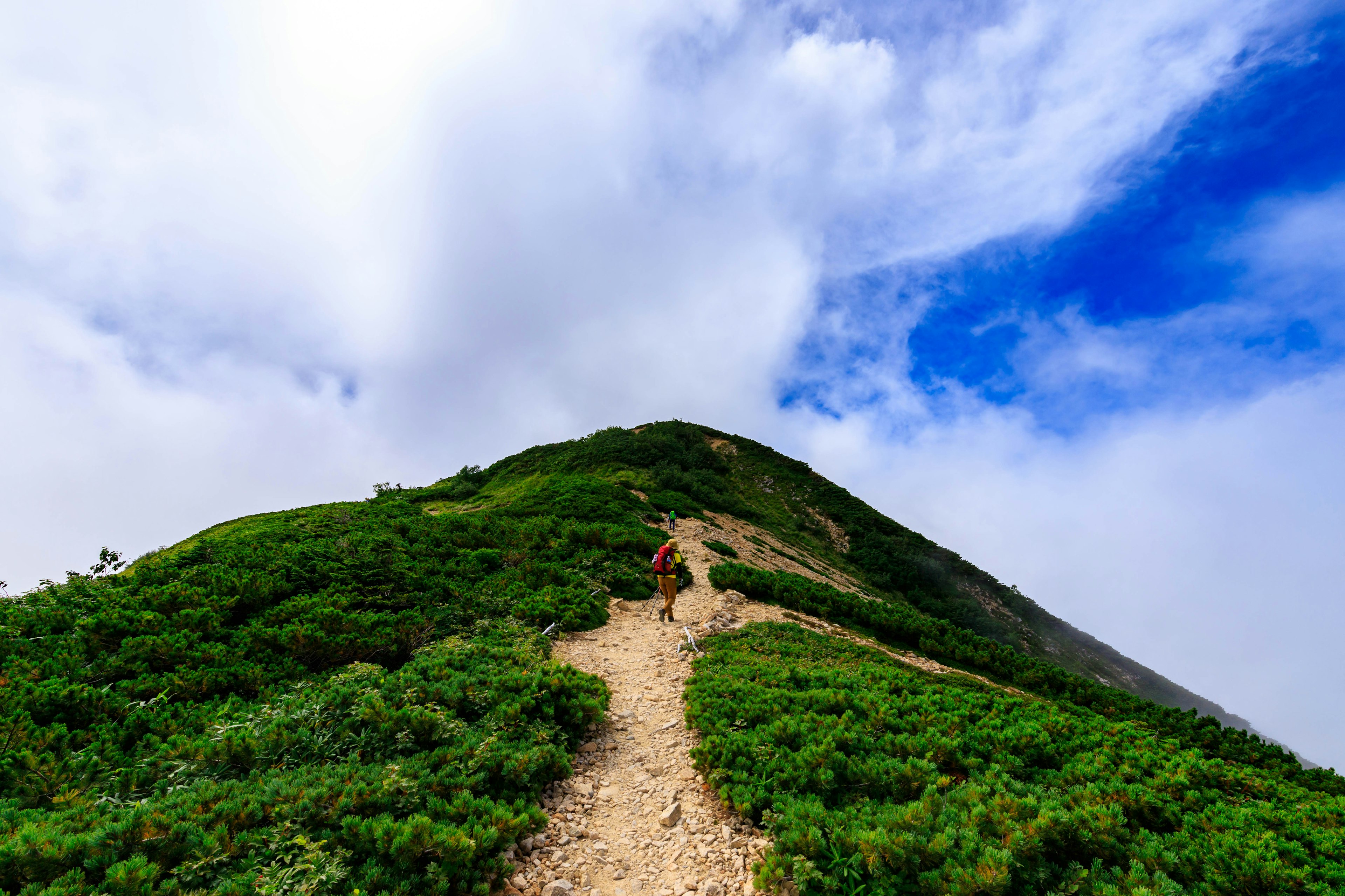 Pendaki mendaki bukit hijau di bawah langit biru