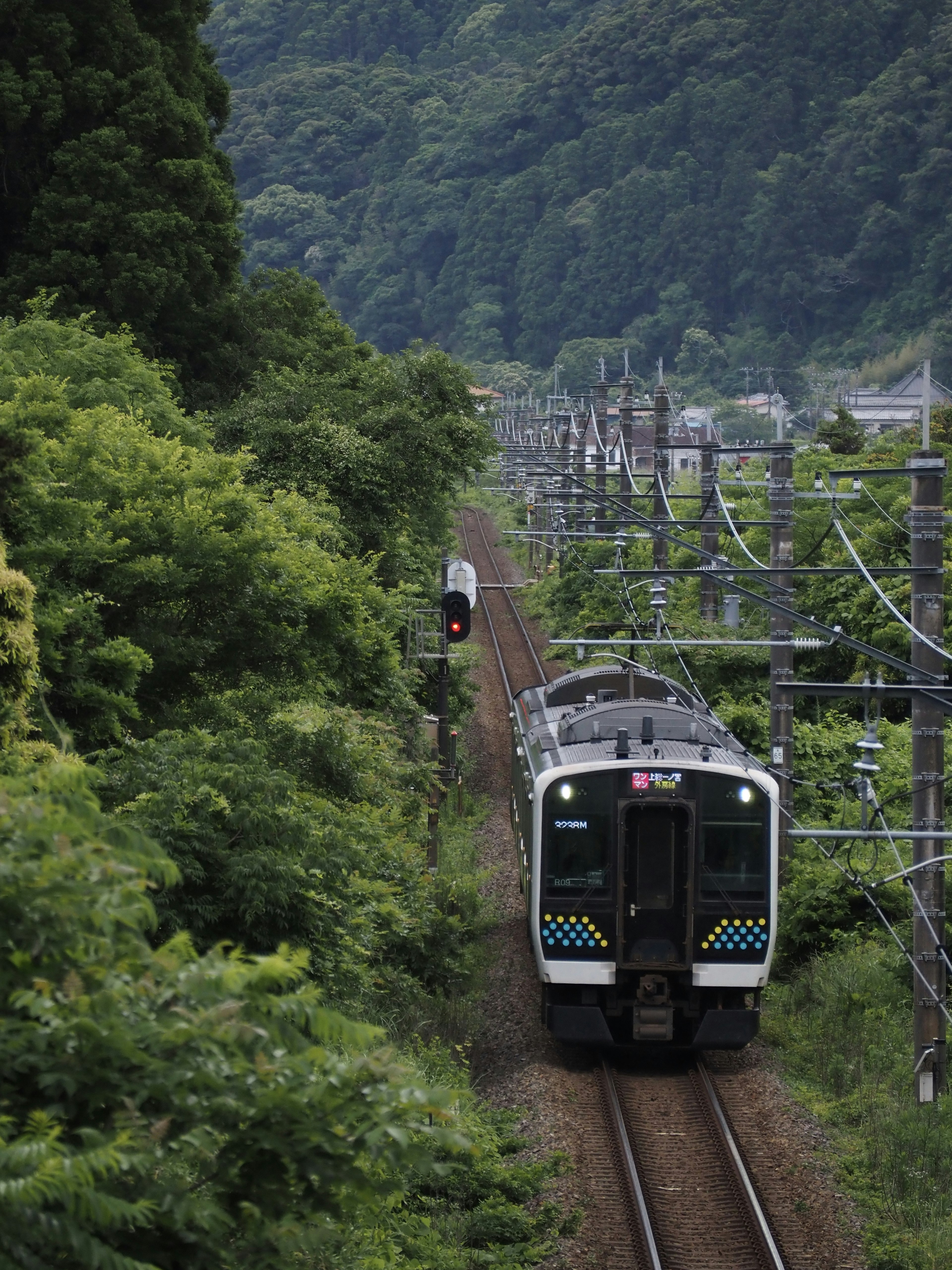 Train traveling through lush greenery and railway tracks