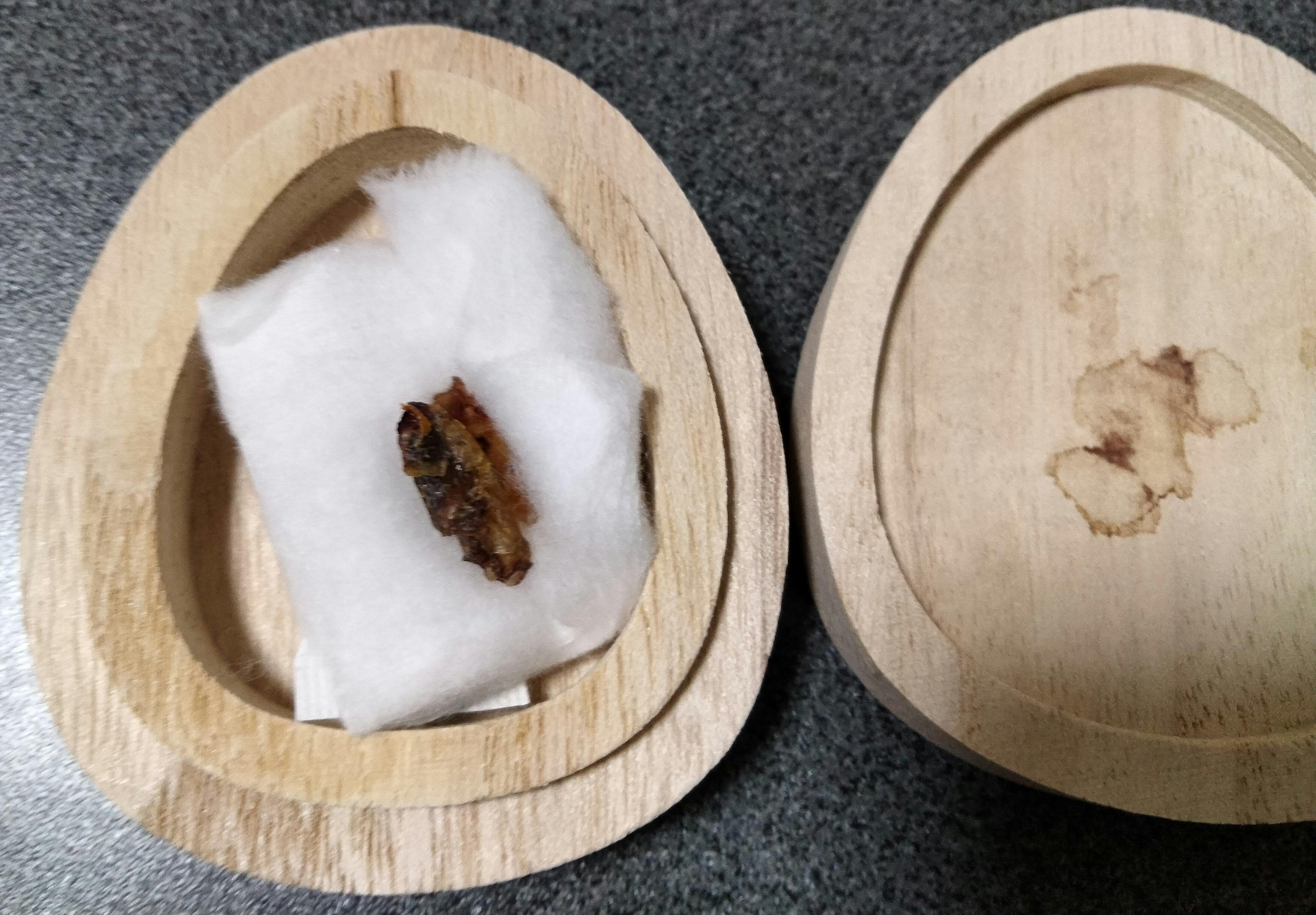 Wooden egg-shaped container with white cotton and a small object inside