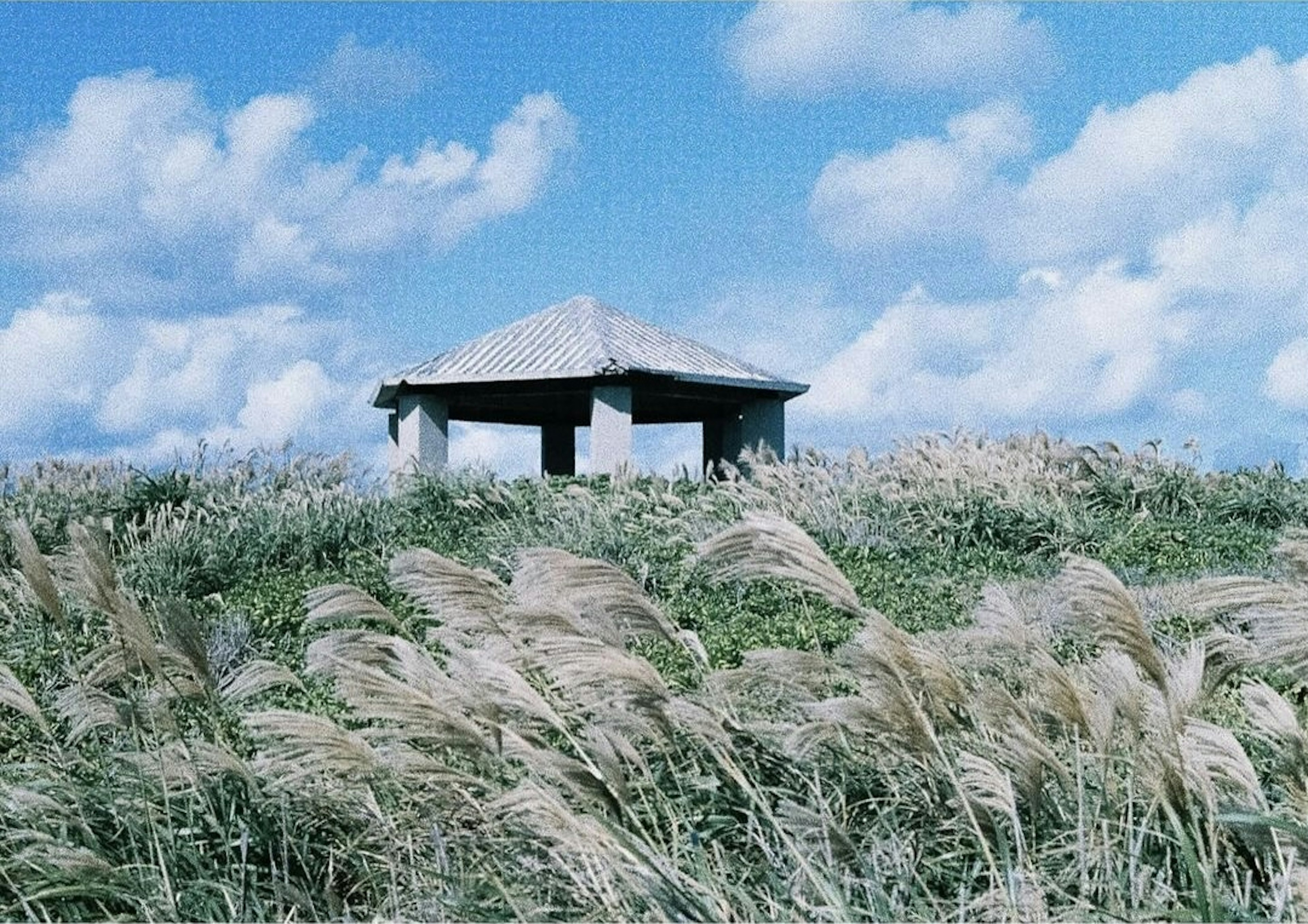 Ein kleiner Unterschlupf in hohem Gras unter einem blauen Himmel mit weißen Wolken