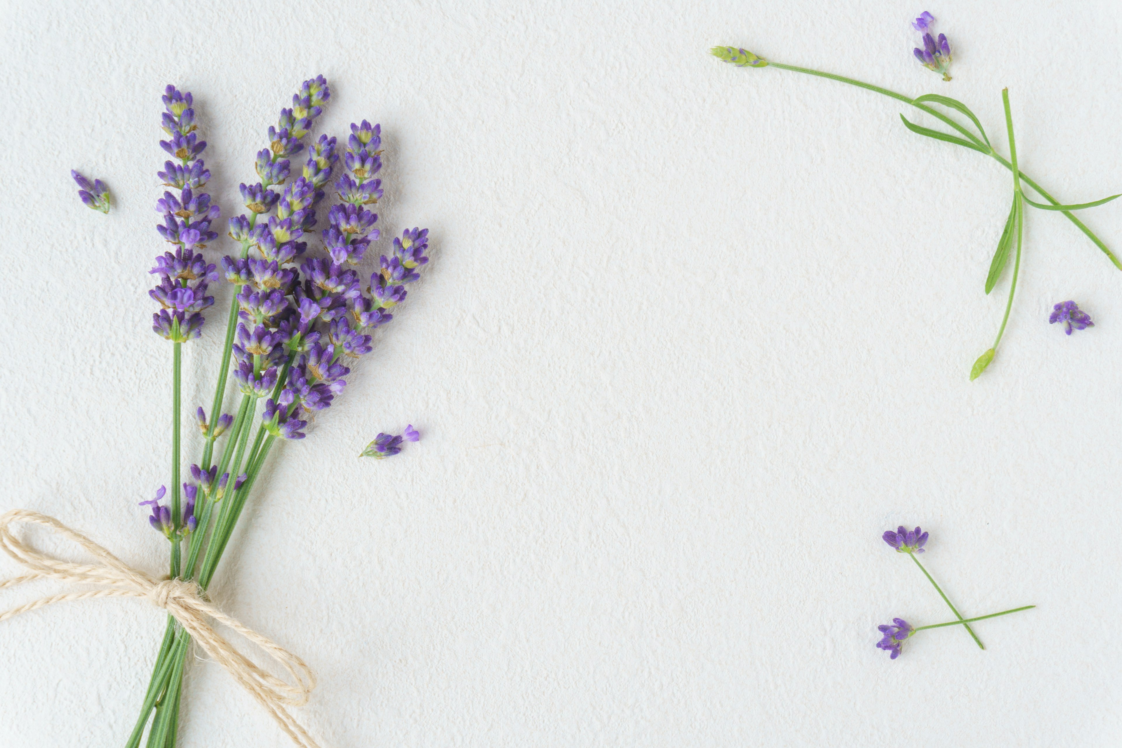 Un ramo de lavanda atado con cuerda sobre un fondo claro