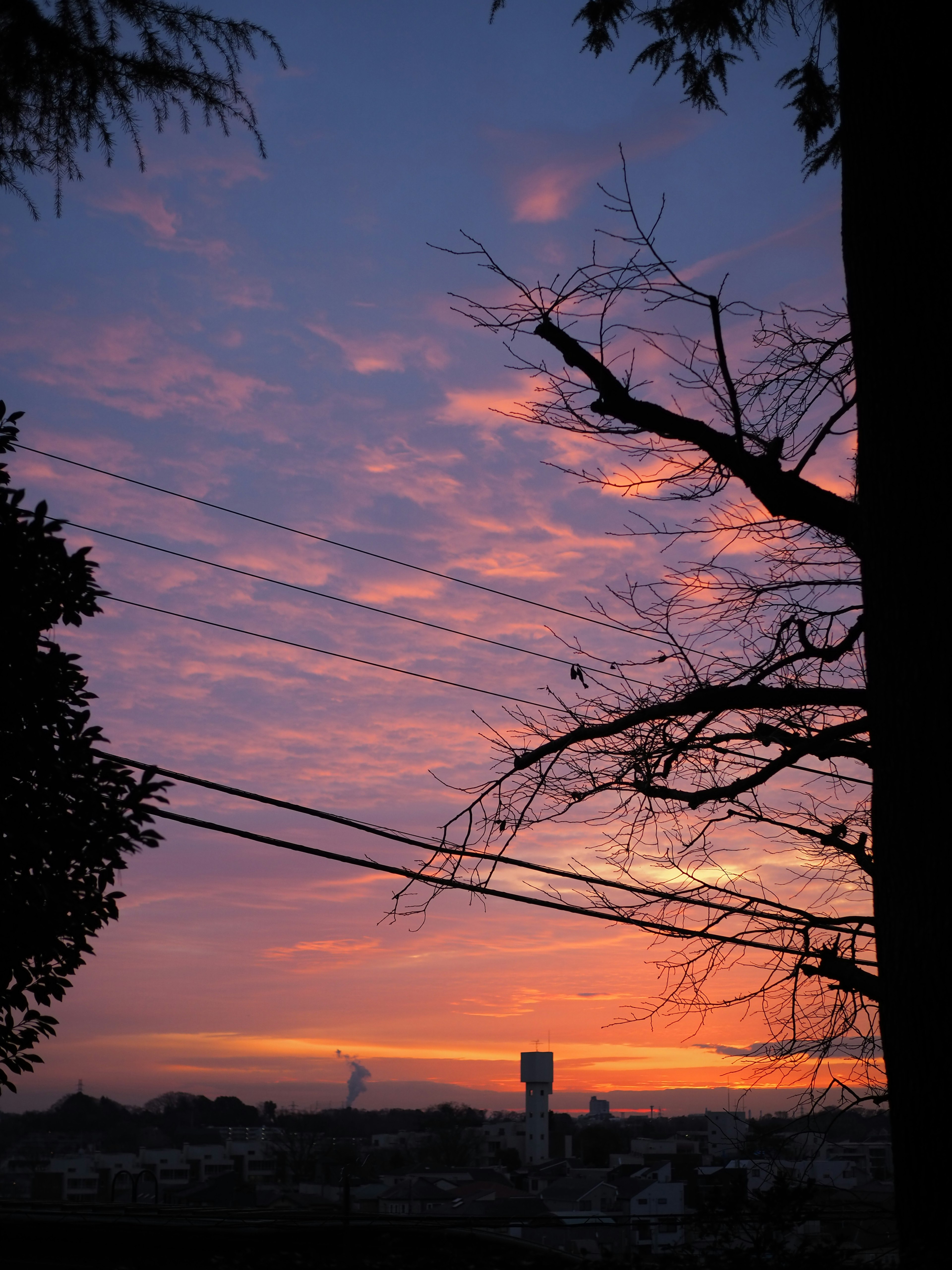 Un paisaje con un cielo al atardecer y árboles en silueta