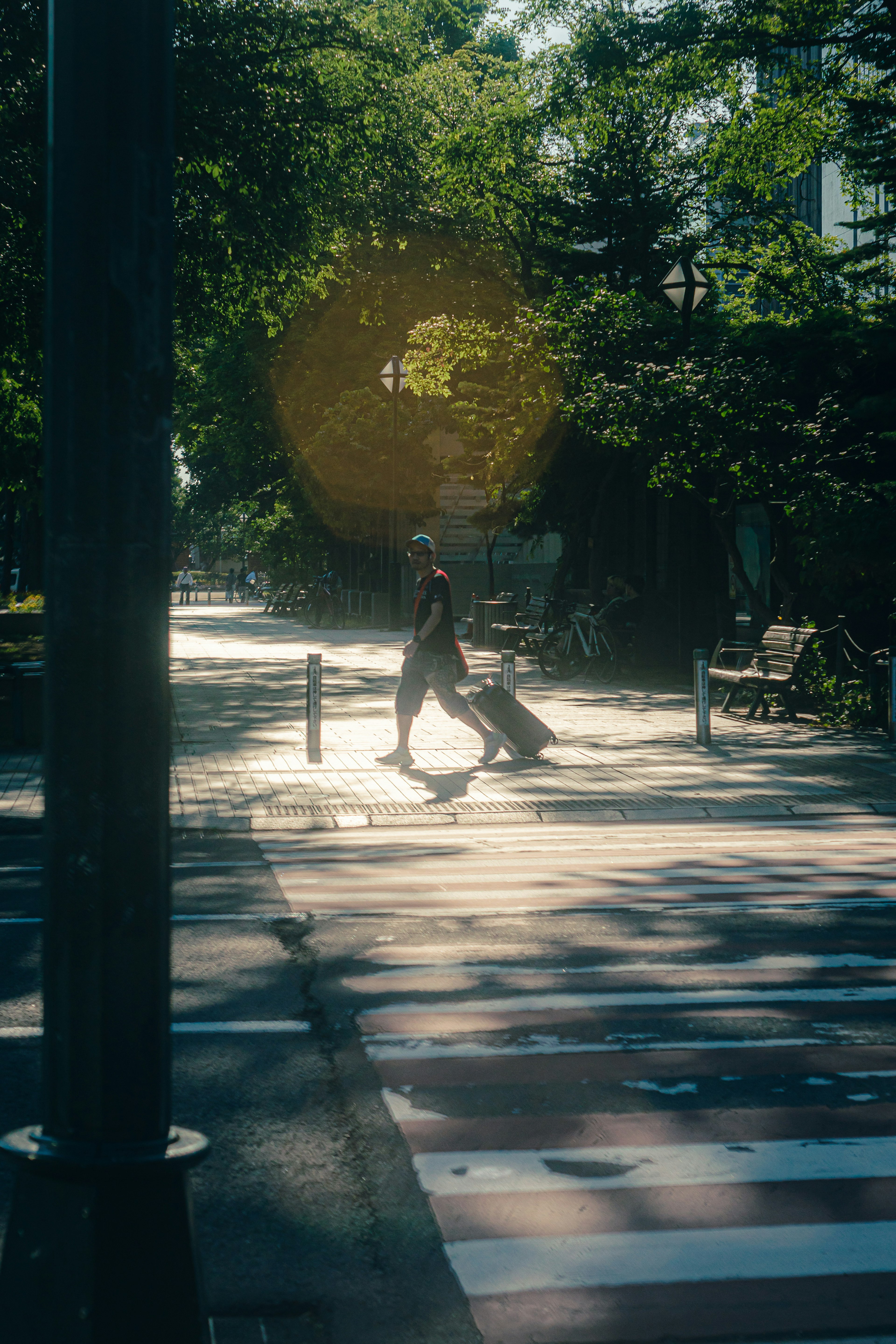 Una persona caminando con una maleta en una calle iluminada por el sol con destello