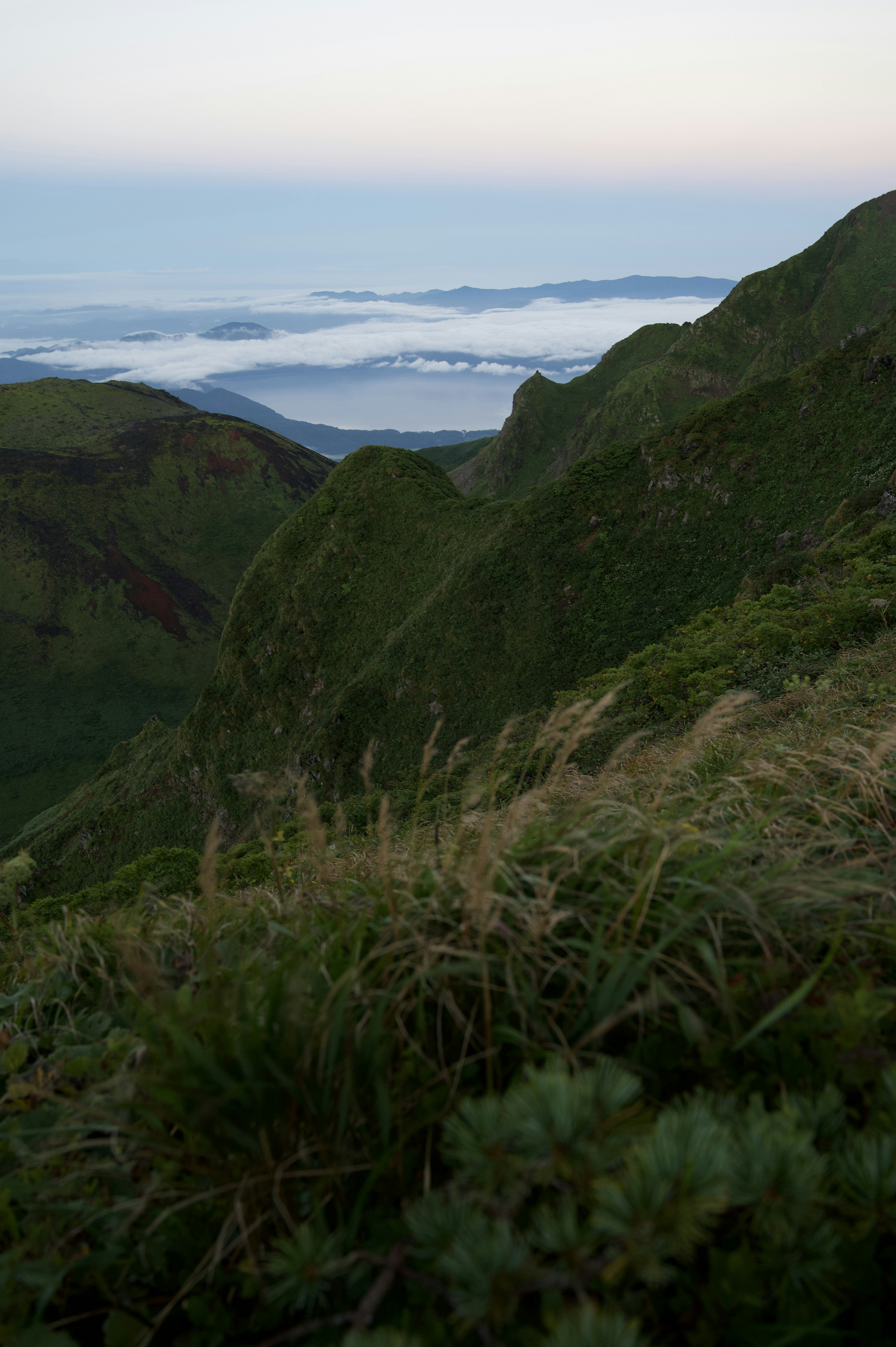 Paysage de montagnes vertes avec une mer de nuages en arrière-plan