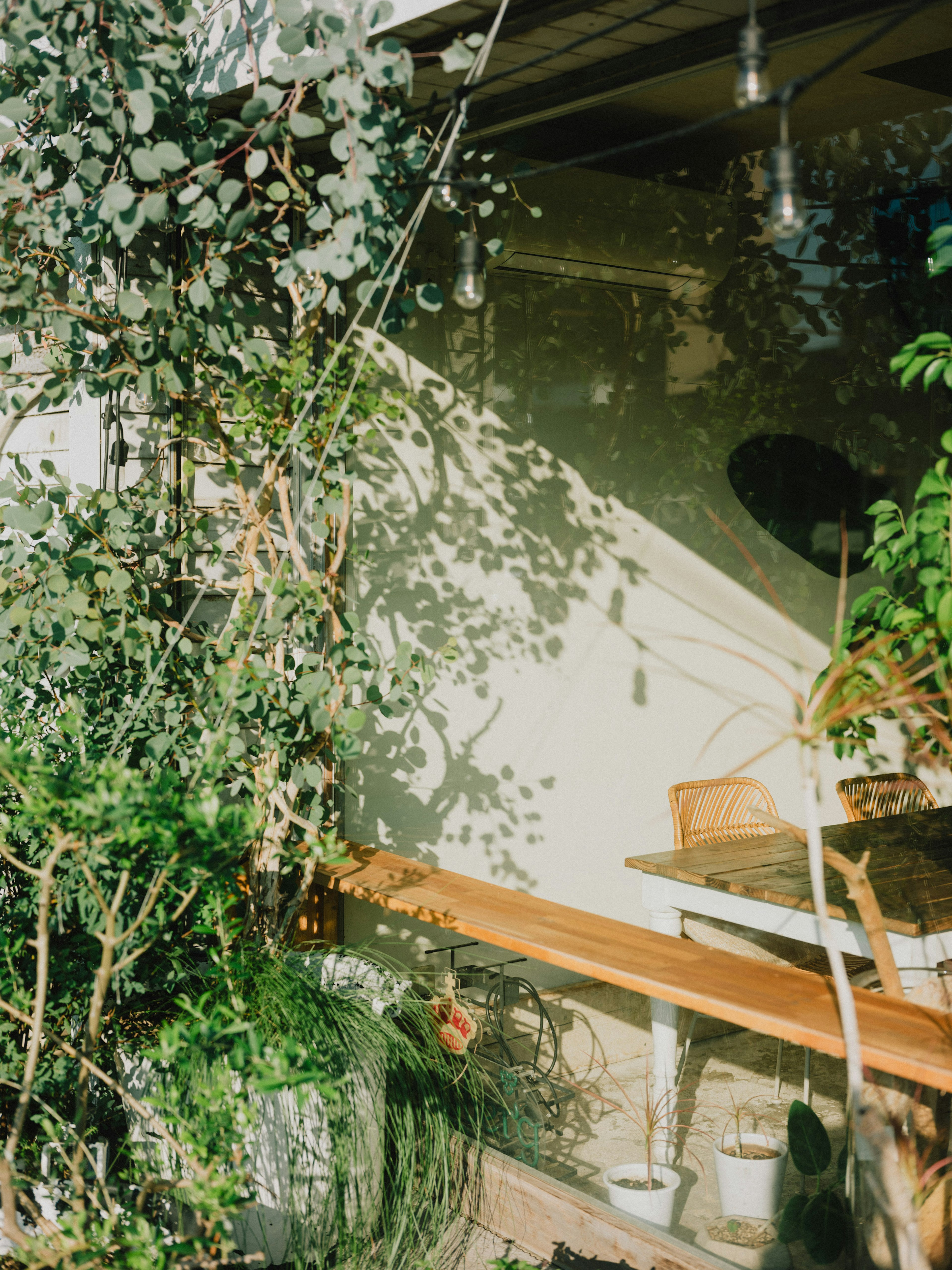 Bright café exterior with lush greenery and wooden seating