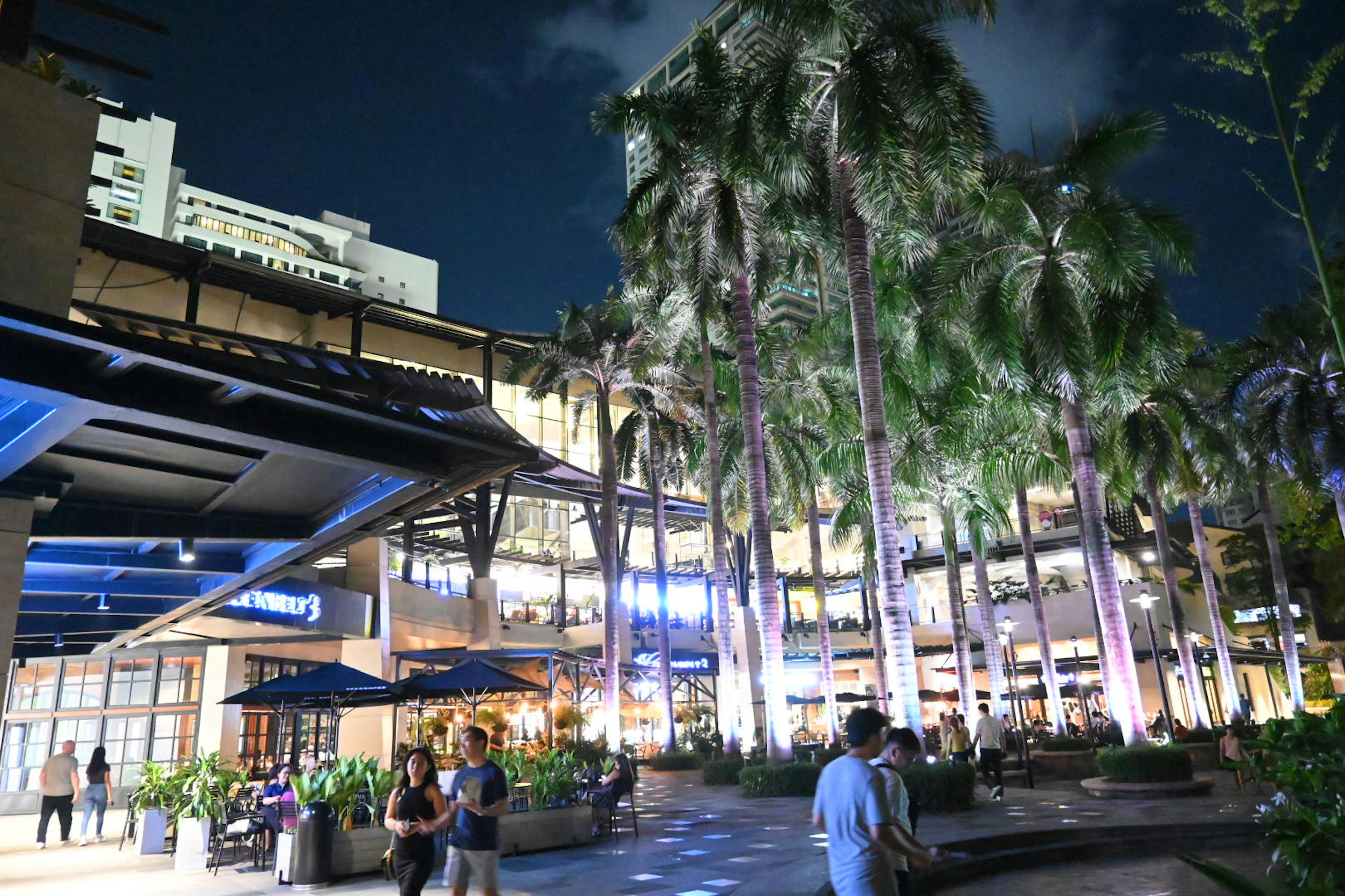 Vista nocturna de una plaza urbana con palmeras y personas reunidas