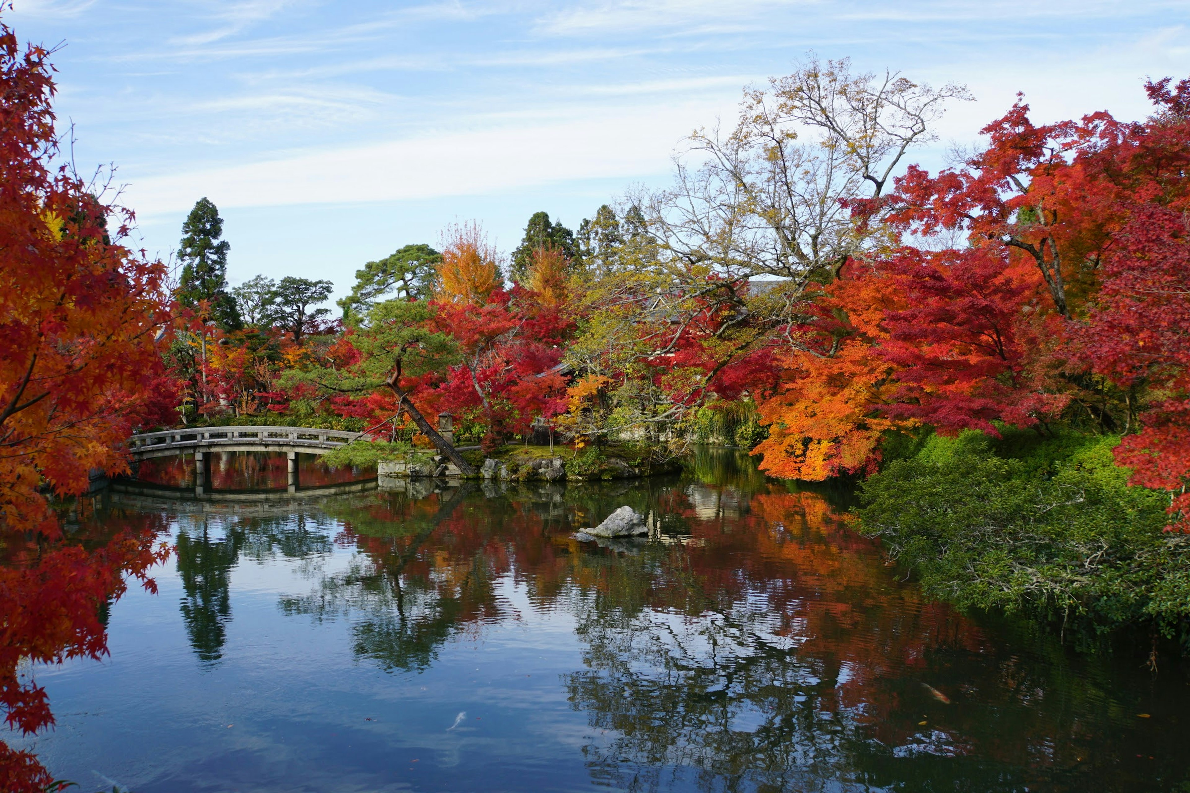 ทิวทัศน์ฤดูใบไม้ร่วงที่สวยงาม มีสะพานและต้นไม้หลากสีสะท้อนในสระน้ำ