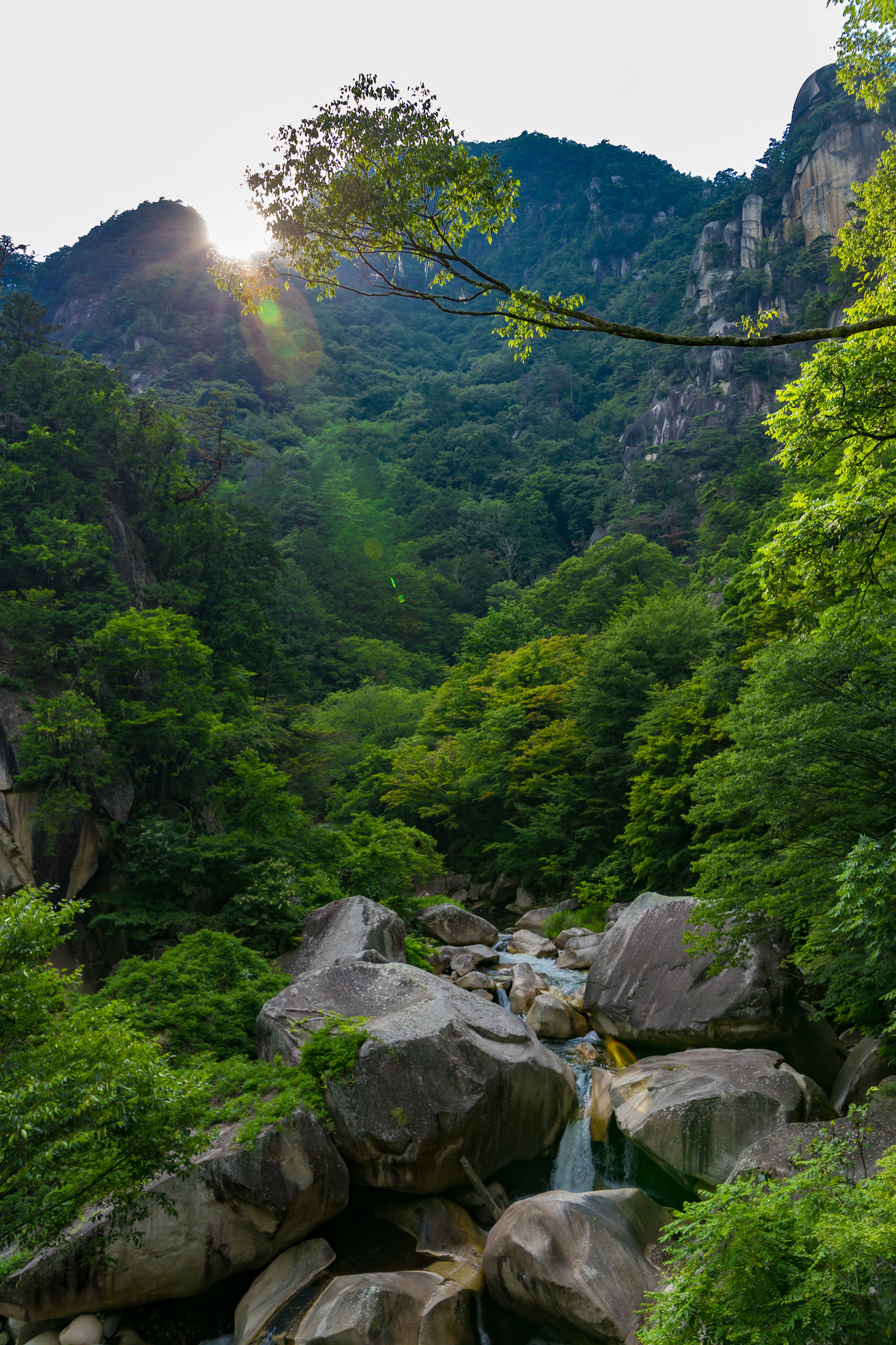 Vallée verdoyante avec un ruisseau coulant parmi de gros rochers